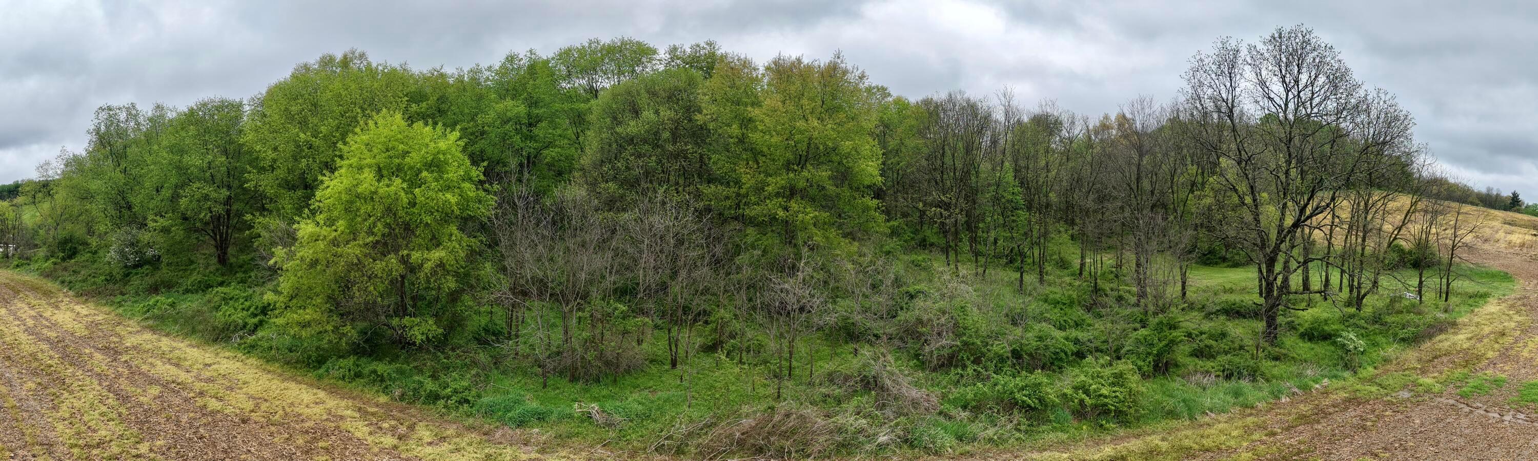 State Route 79, Warsaw, Ohio image 6