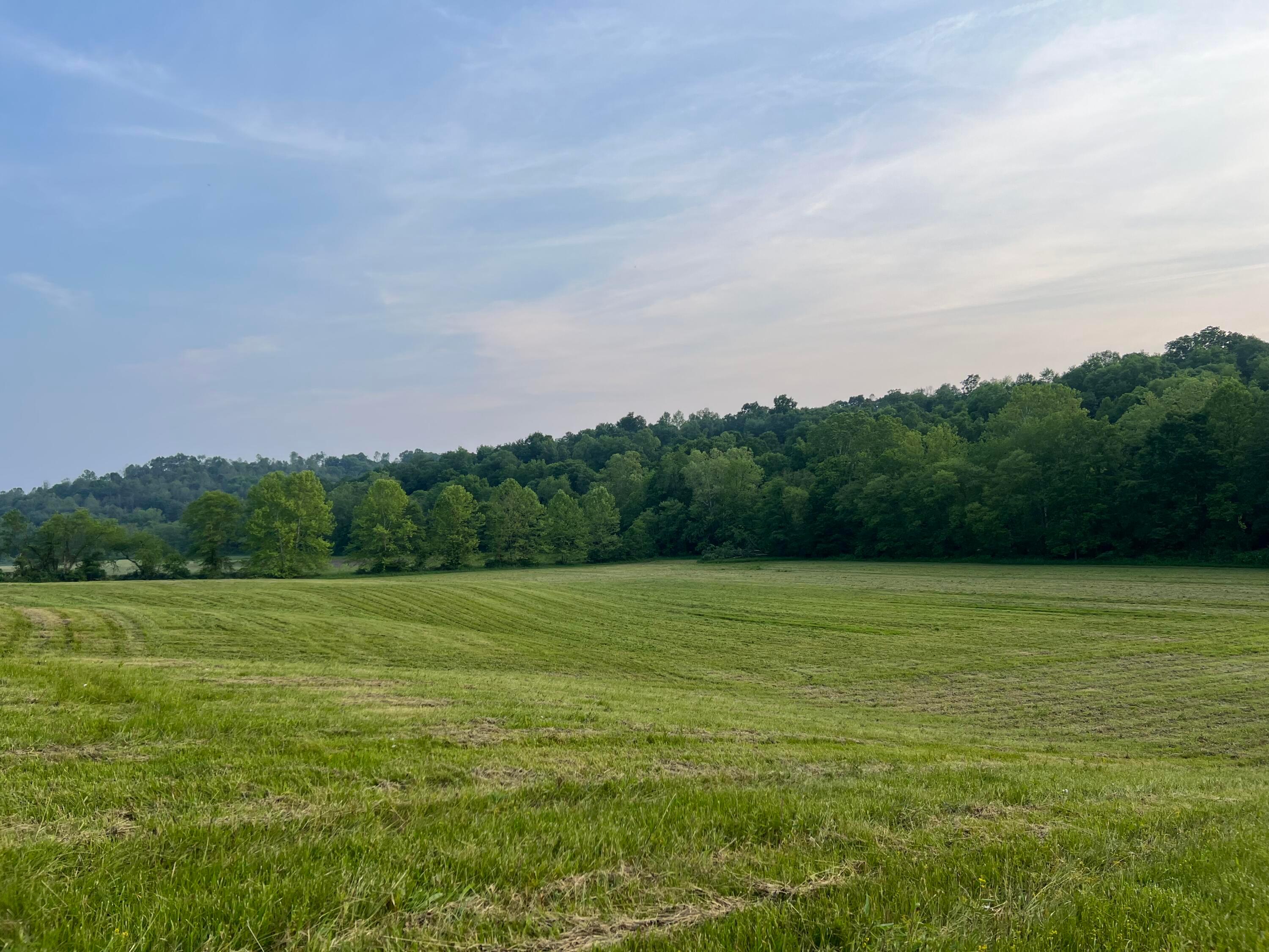 21421 Griffith Road, Logan, Ohio image 2