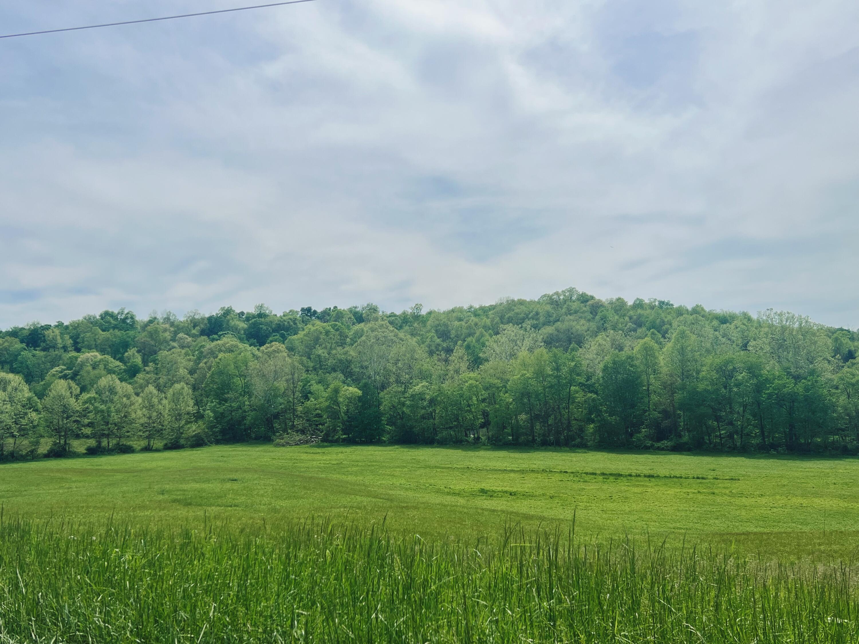 21421 Griffith Road, Logan, Ohio image 20