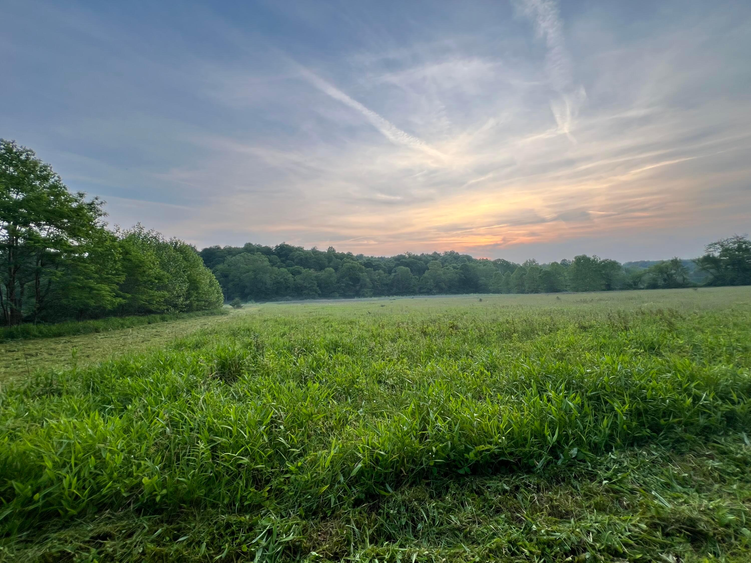 21421 Griffith Road, Logan, Ohio image 9