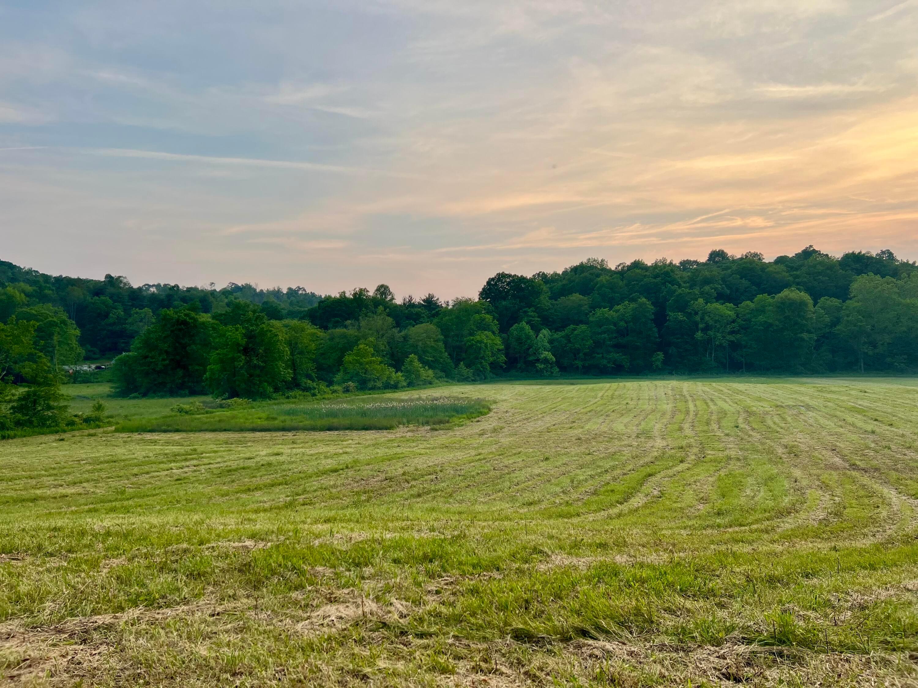 21421 Griffith Road, Logan, Ohio image 12