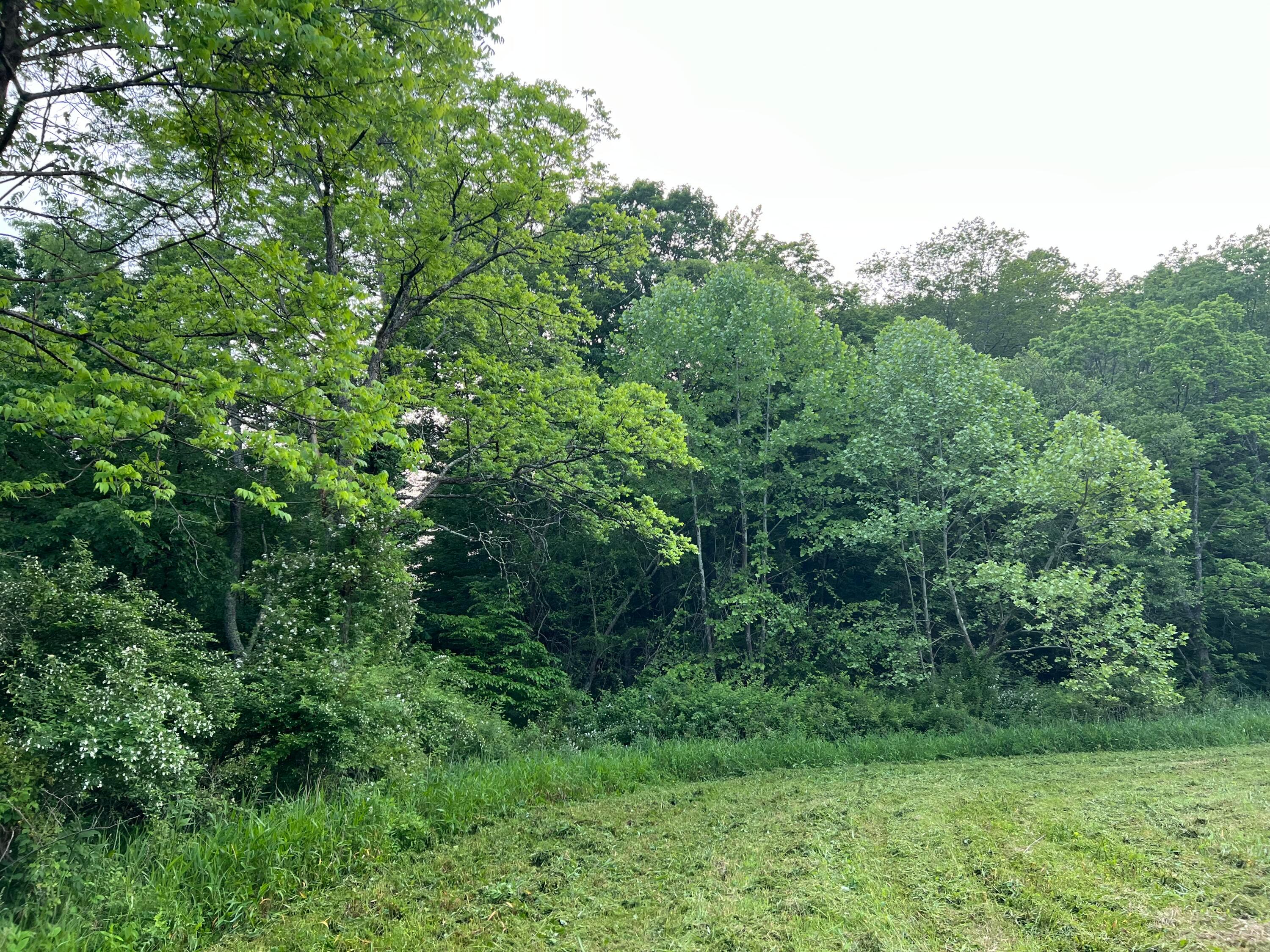 21421 Griffith Road, Logan, Ohio image 14