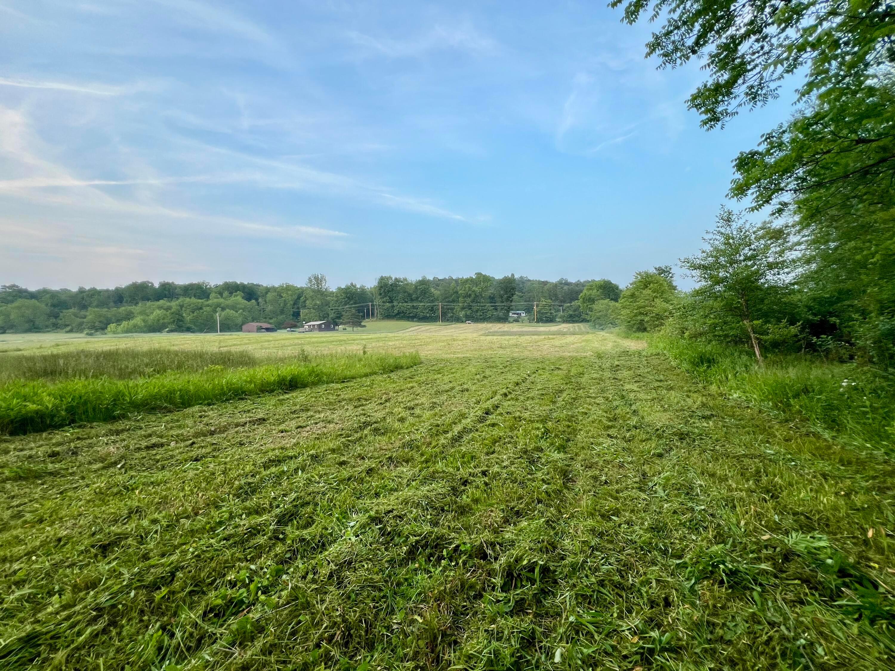 21421 Griffith Road, Logan, Ohio image 15