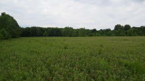 Vacant Land For Sale - 9730 Butcher Road<br/> Mount Vernon, OH 43050