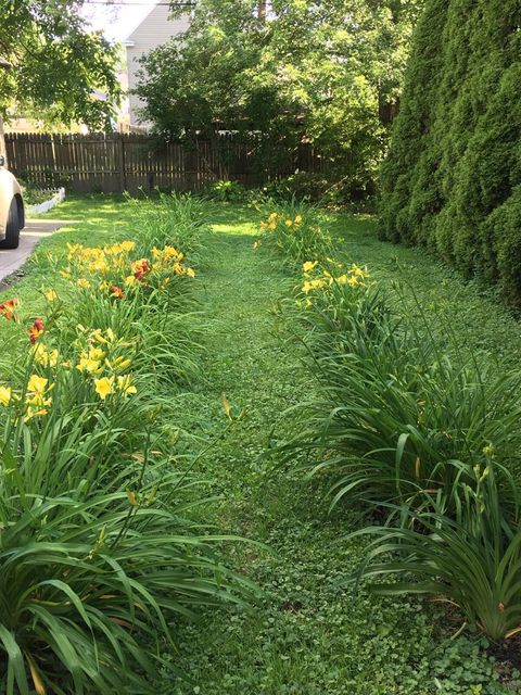 Tiny photo for 370 Cypress Avenue, Akron, OH 44301 (MLS # 225045149)