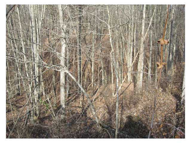 Photo 8 of 13 of 0 Scott School Road land