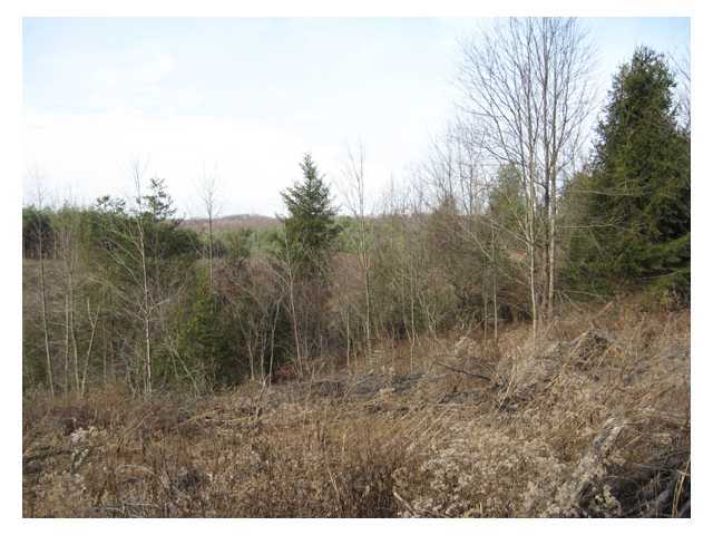 Photo 4 of 13 of 0 Scott School Road land