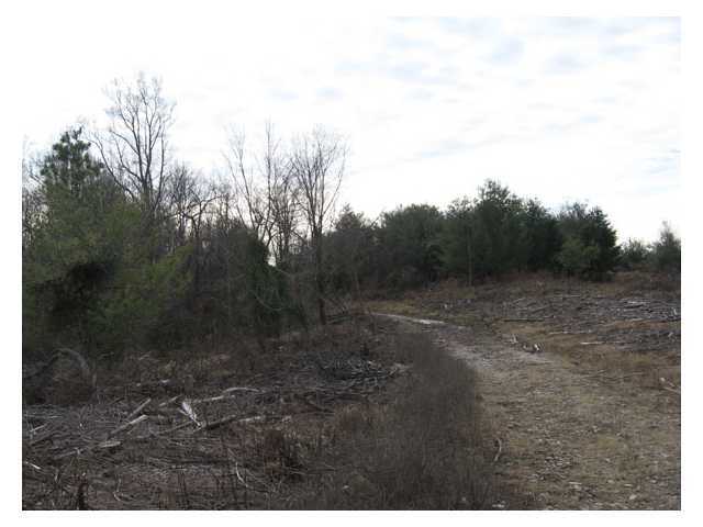 Photo 3 of 13 of 0 Scott School Road land