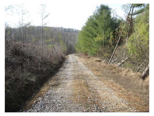Photo 7 of 13 of 0 Scott School Road land