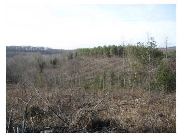 Photo 5 of 13 of 0 Scott School Road land