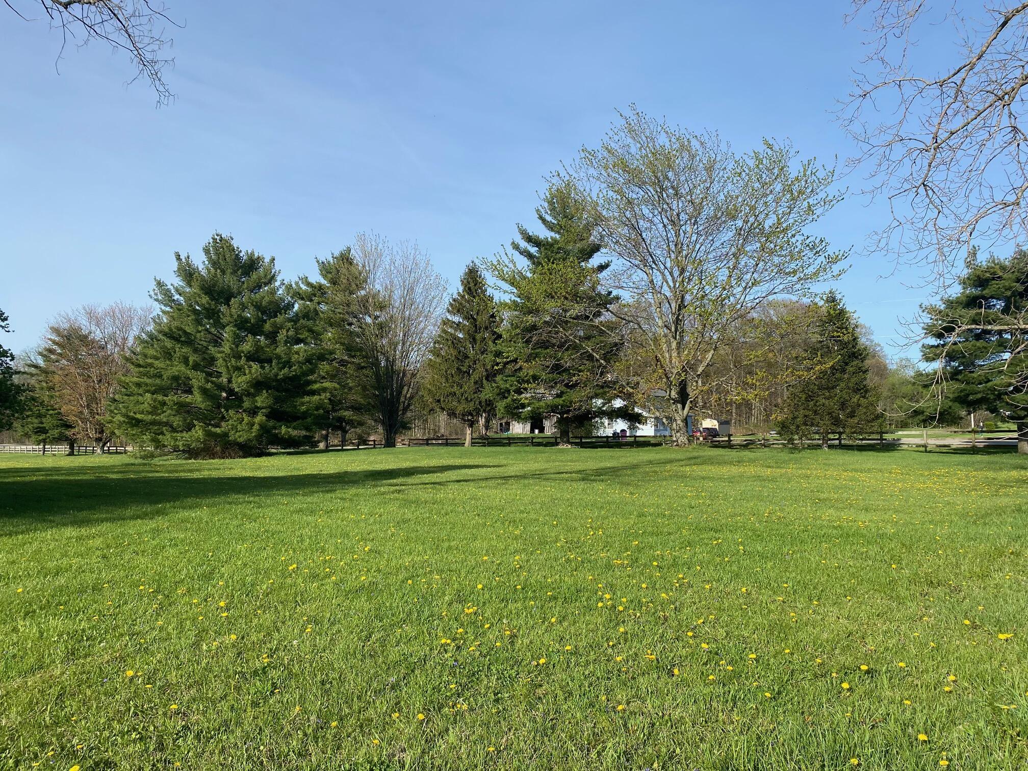 7326 State Route 19 #UNIT 2, LOTS 148,149,150, Mount Gilead, Ohio image 2
