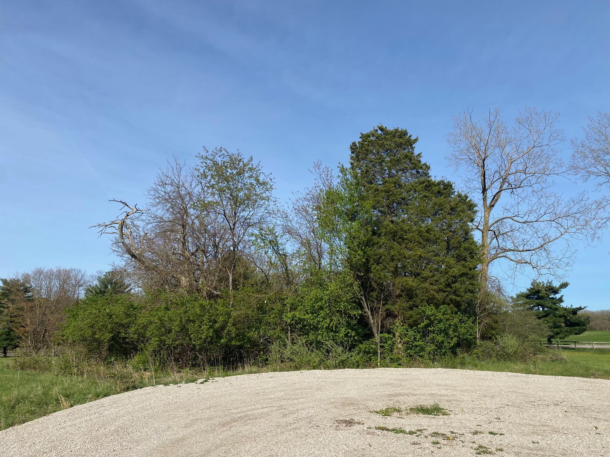 7326 State Route 19 #UNIT 2, LOTS 148,149,150, Mount Gilead, Ohio image 6