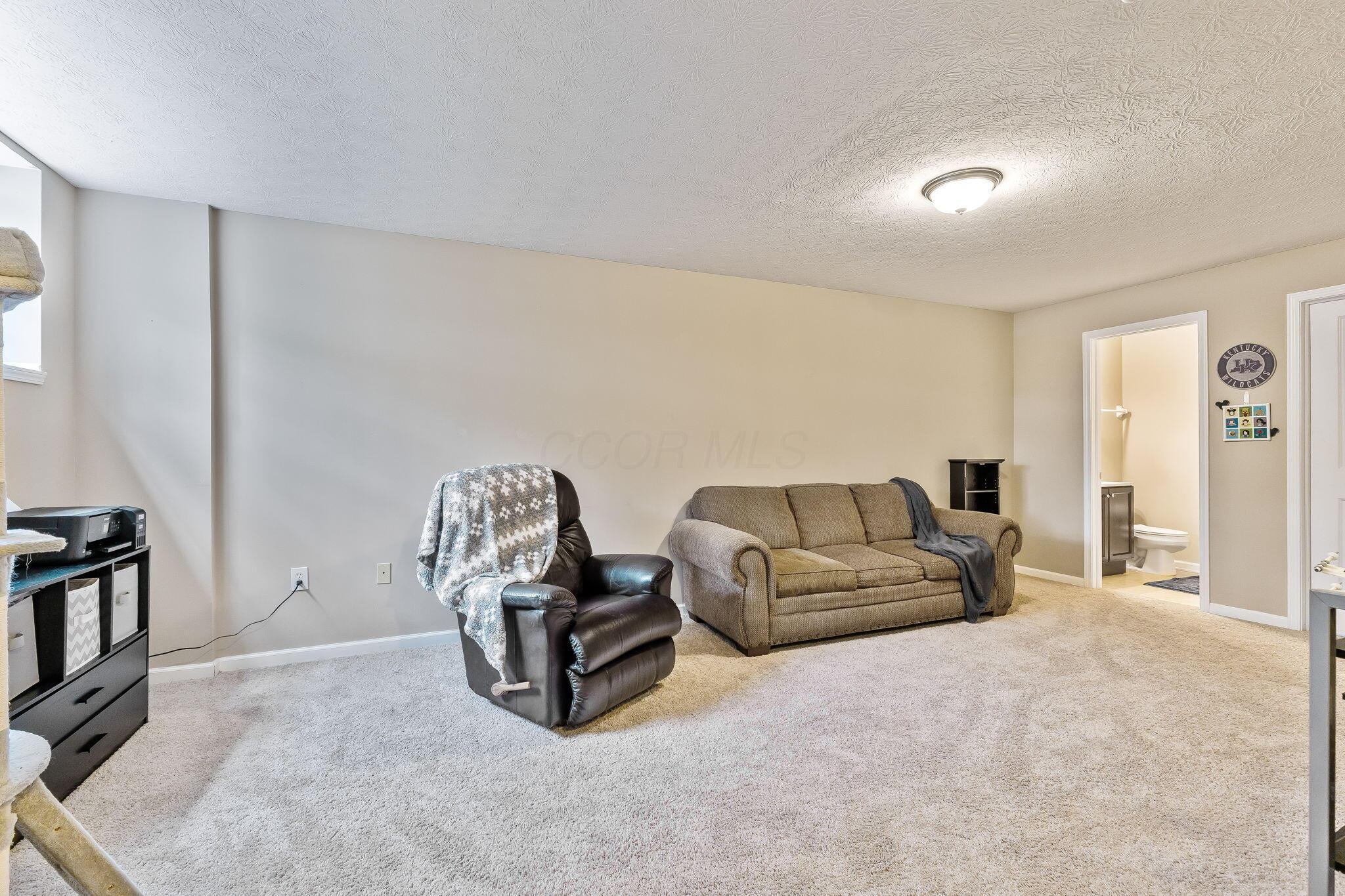 5290 Berthold Pass Drive #56, Dublin, Ohio image 43