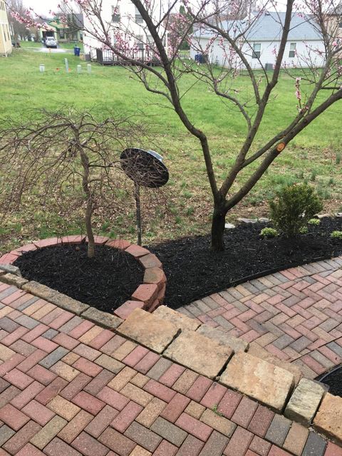 Tiny photo for 4106 Cherry Orchard Lane, Columbus, OH 43230 (MLS # 226000180)