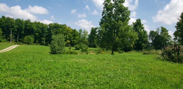 3598 Township Rd 124, Mount Gilead, Ohio image 1