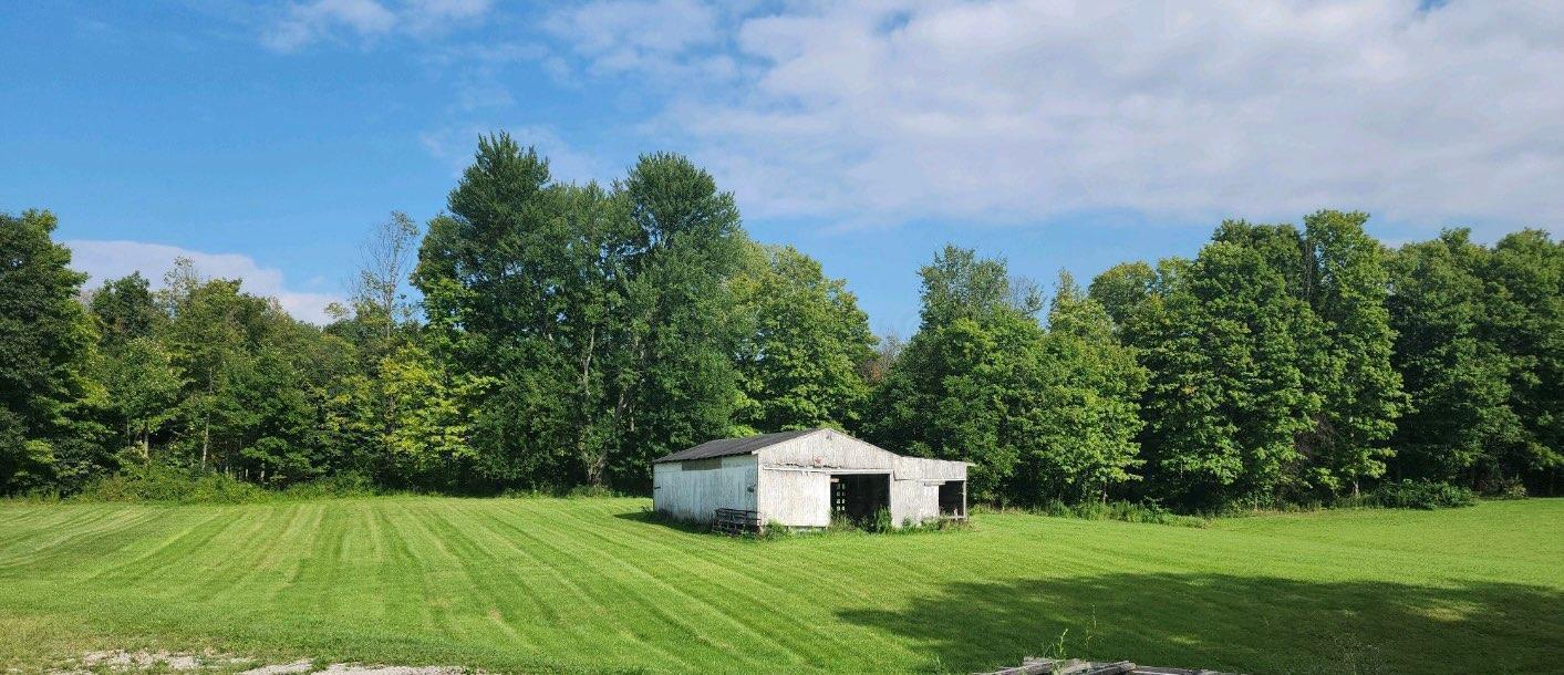 3598 Township Rd 124, Mount Gilead, Ohio image 8