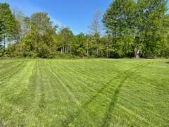 3598 Township Rd 124, Mount Gilead, Ohio image 4