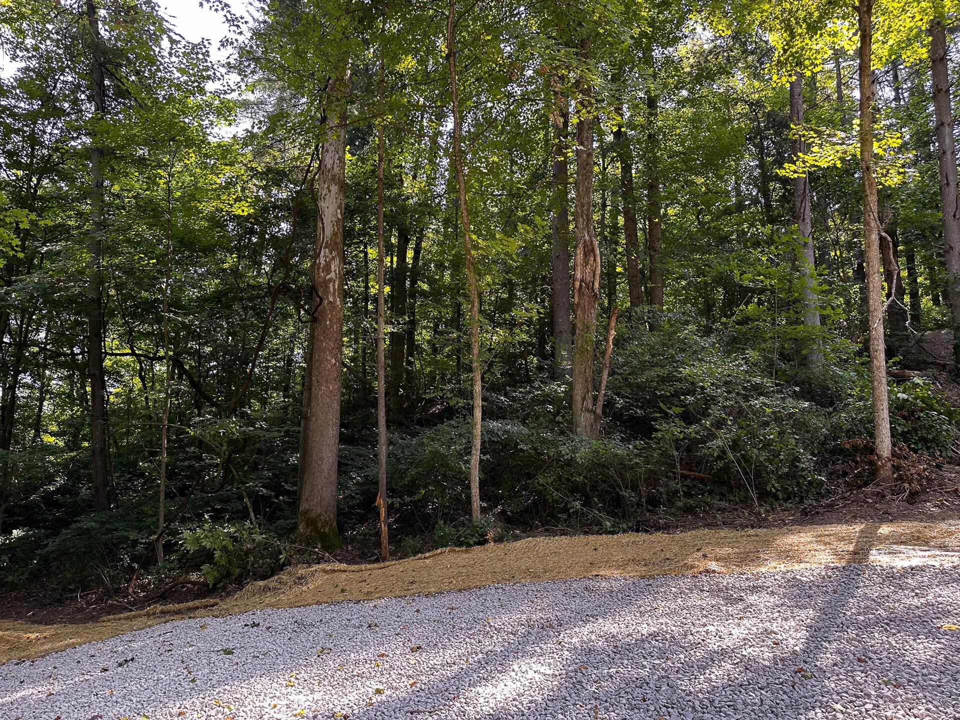 32204 Titus Road #GV CABIN AT TITUS, Langsville, Ohio image 40