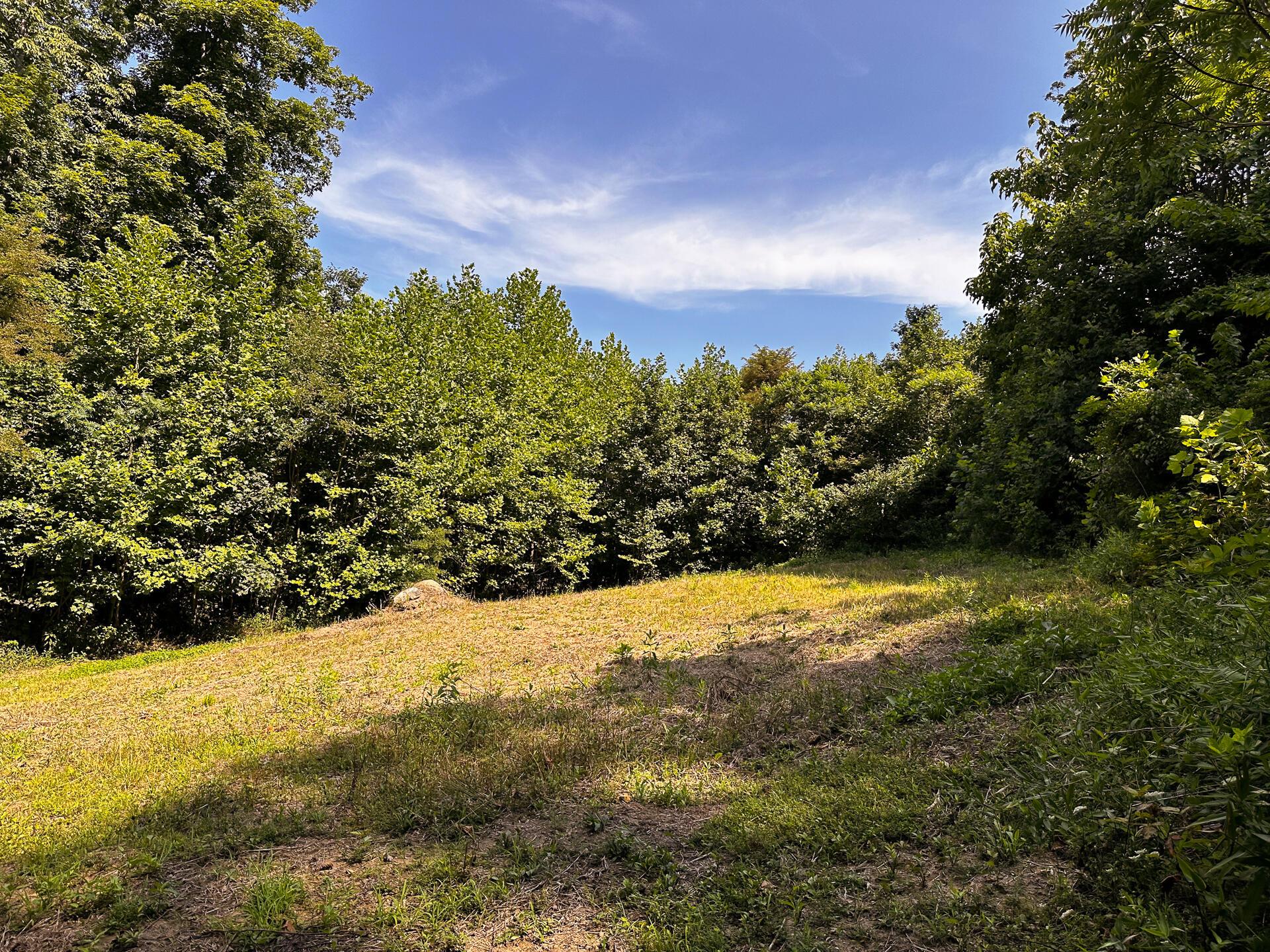 32204 Titus Road #GV CABIN AT TITUS, Langsville, Ohio image 12