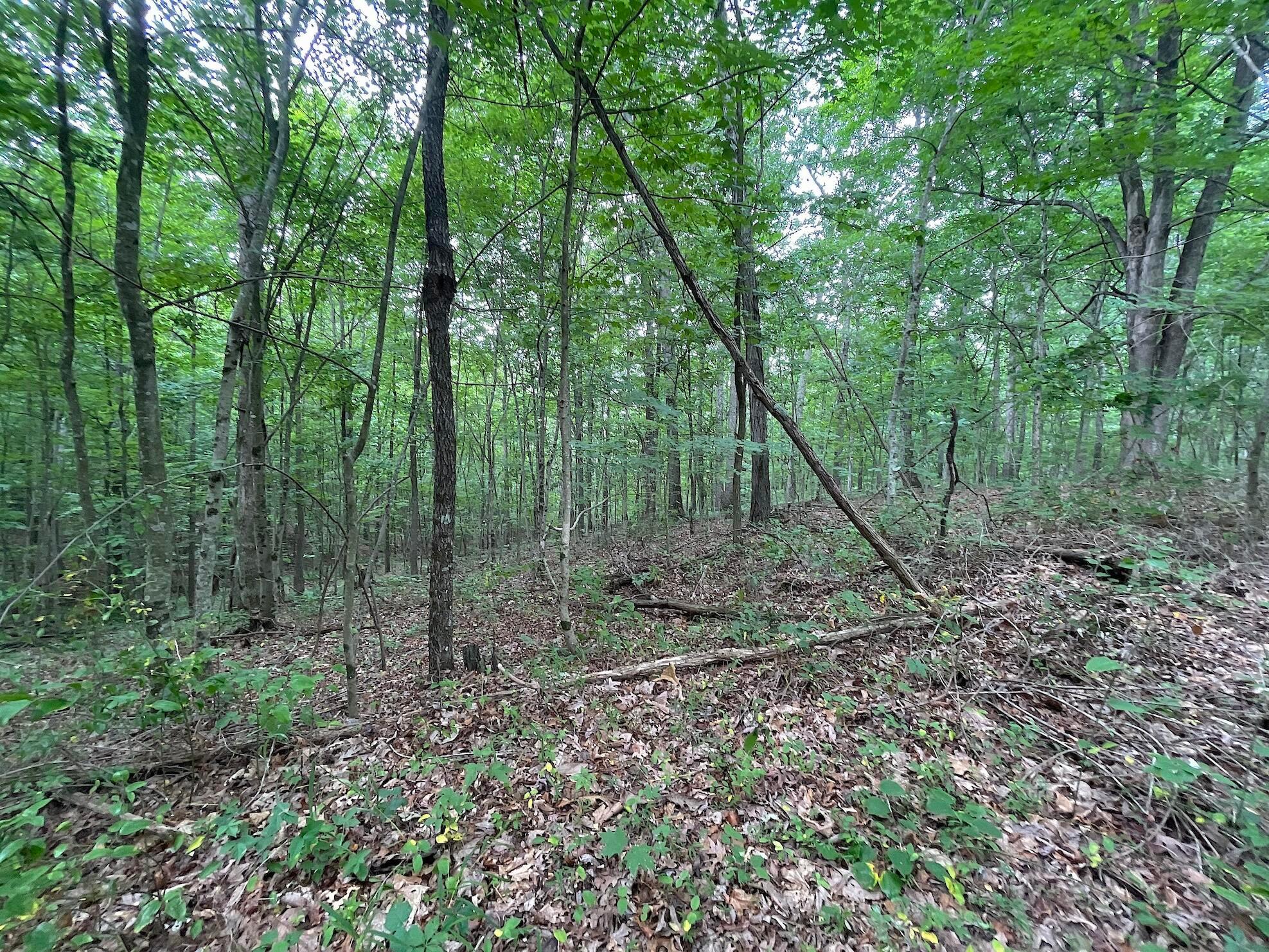 755 Collier Road, South Webster, Ohio image 30
