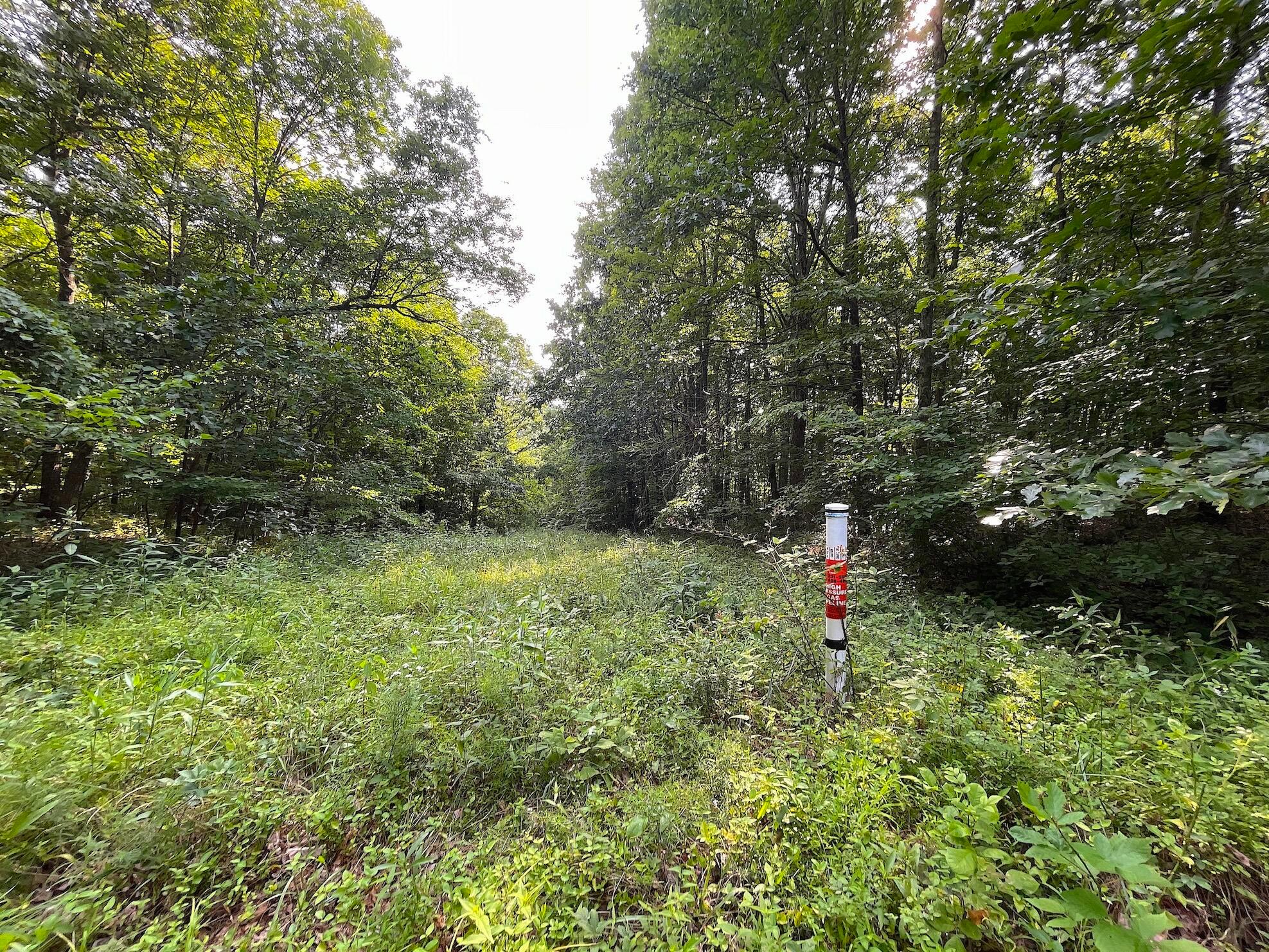 755 Collier Road, South Webster, Ohio image 10