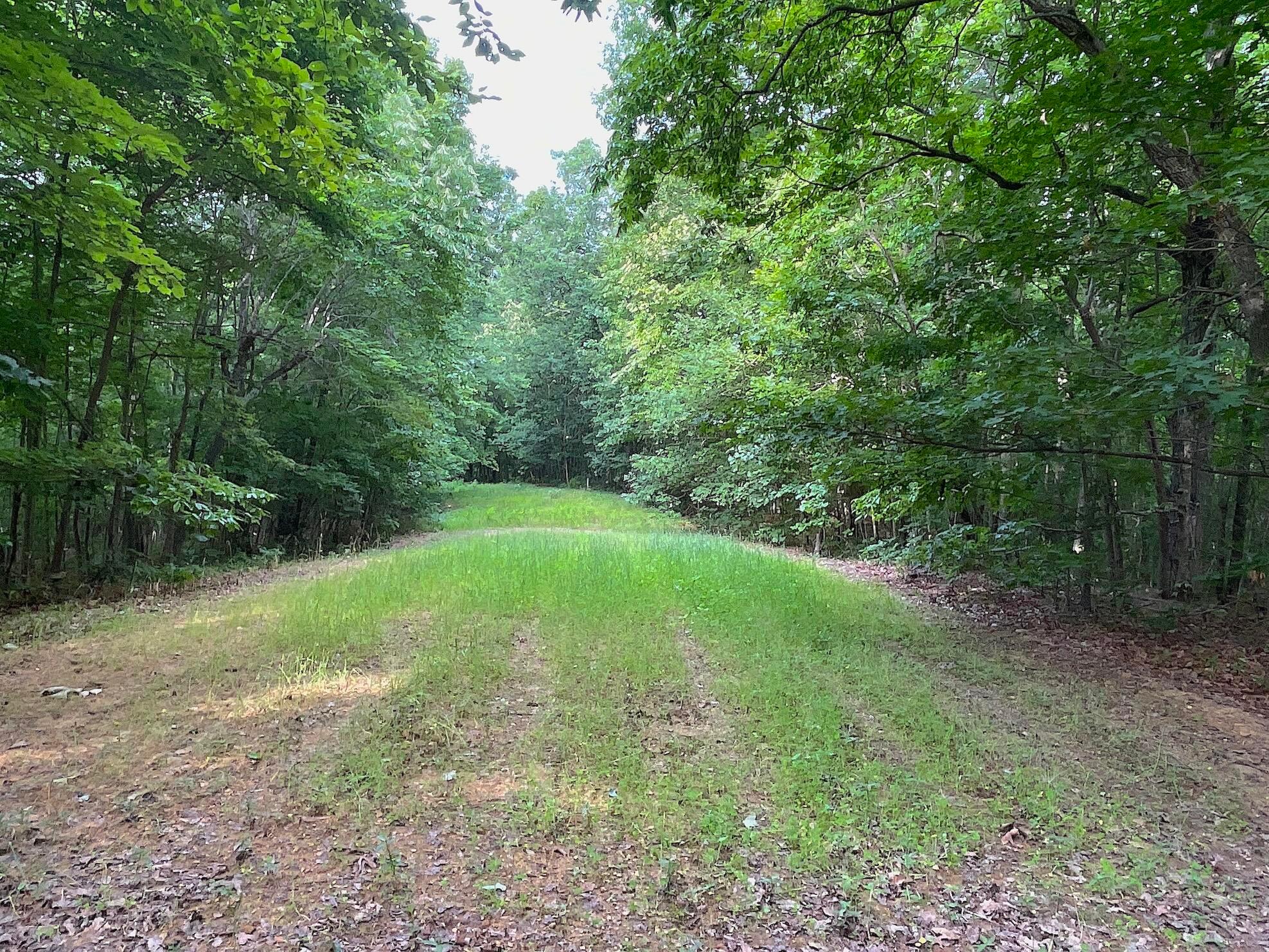 755 Collier Road, South Webster, Ohio image 18
