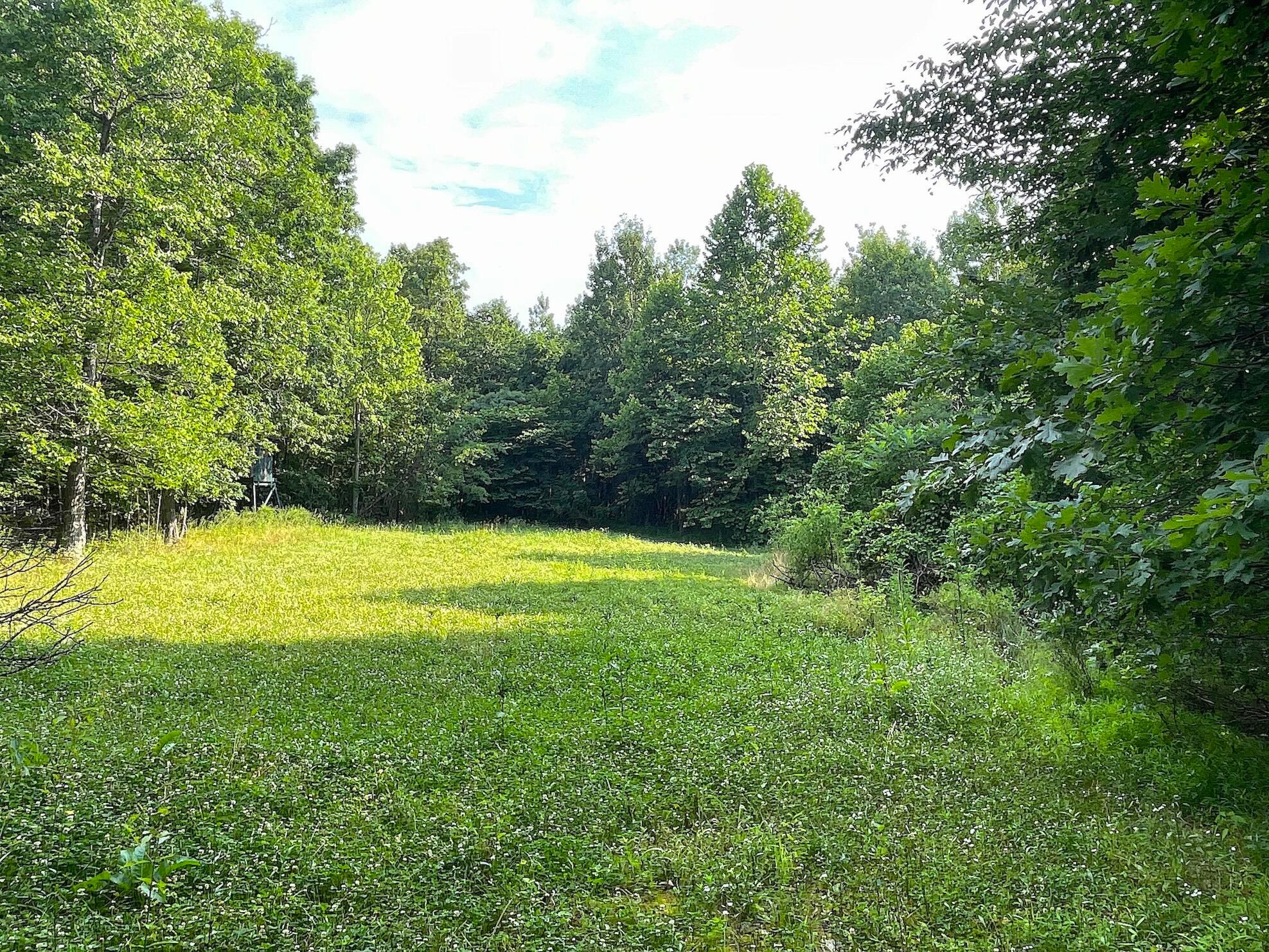 755 Collier Road, South Webster, Ohio image 12