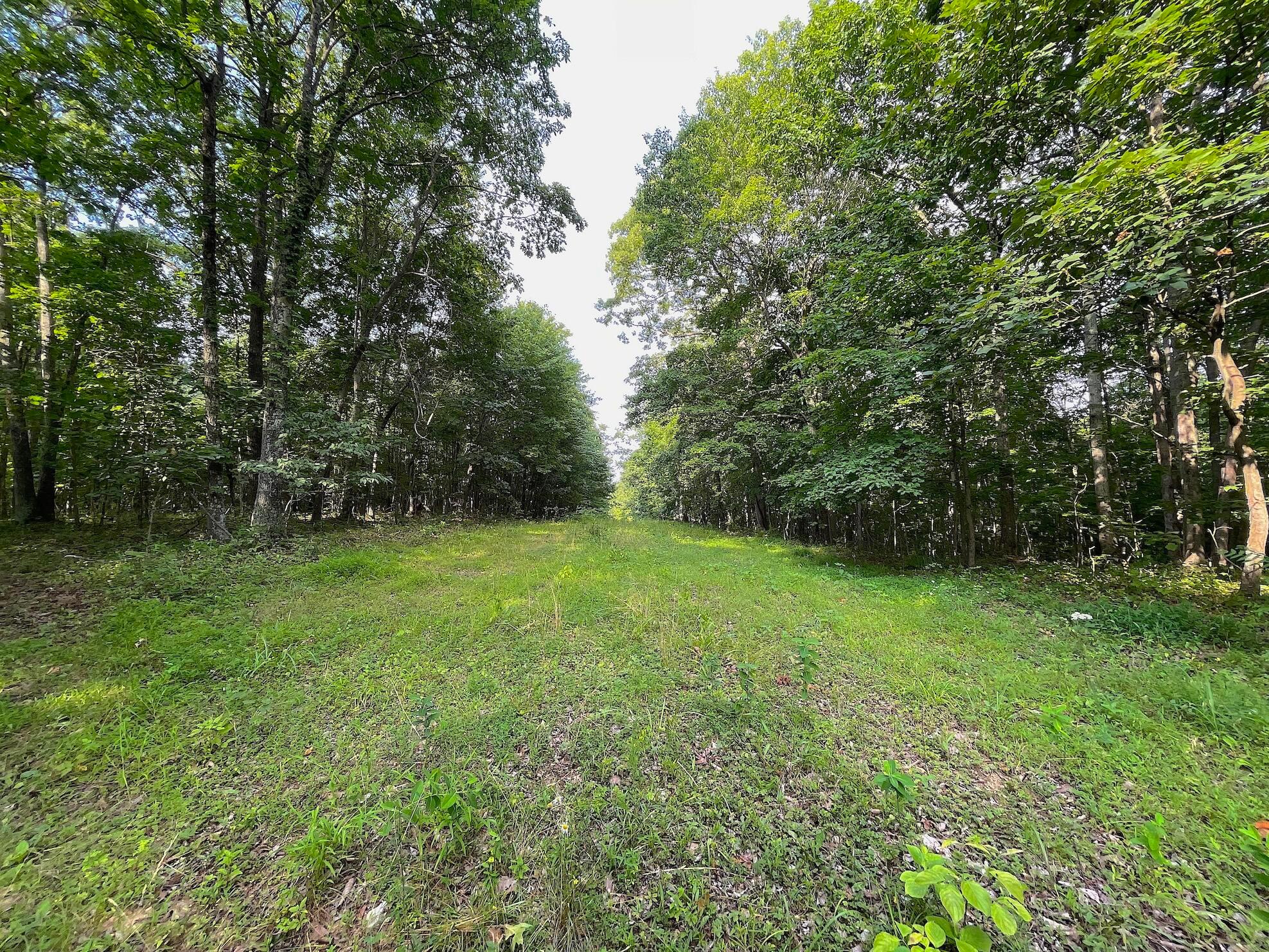 755 Collier Road, South Webster, Ohio image 11