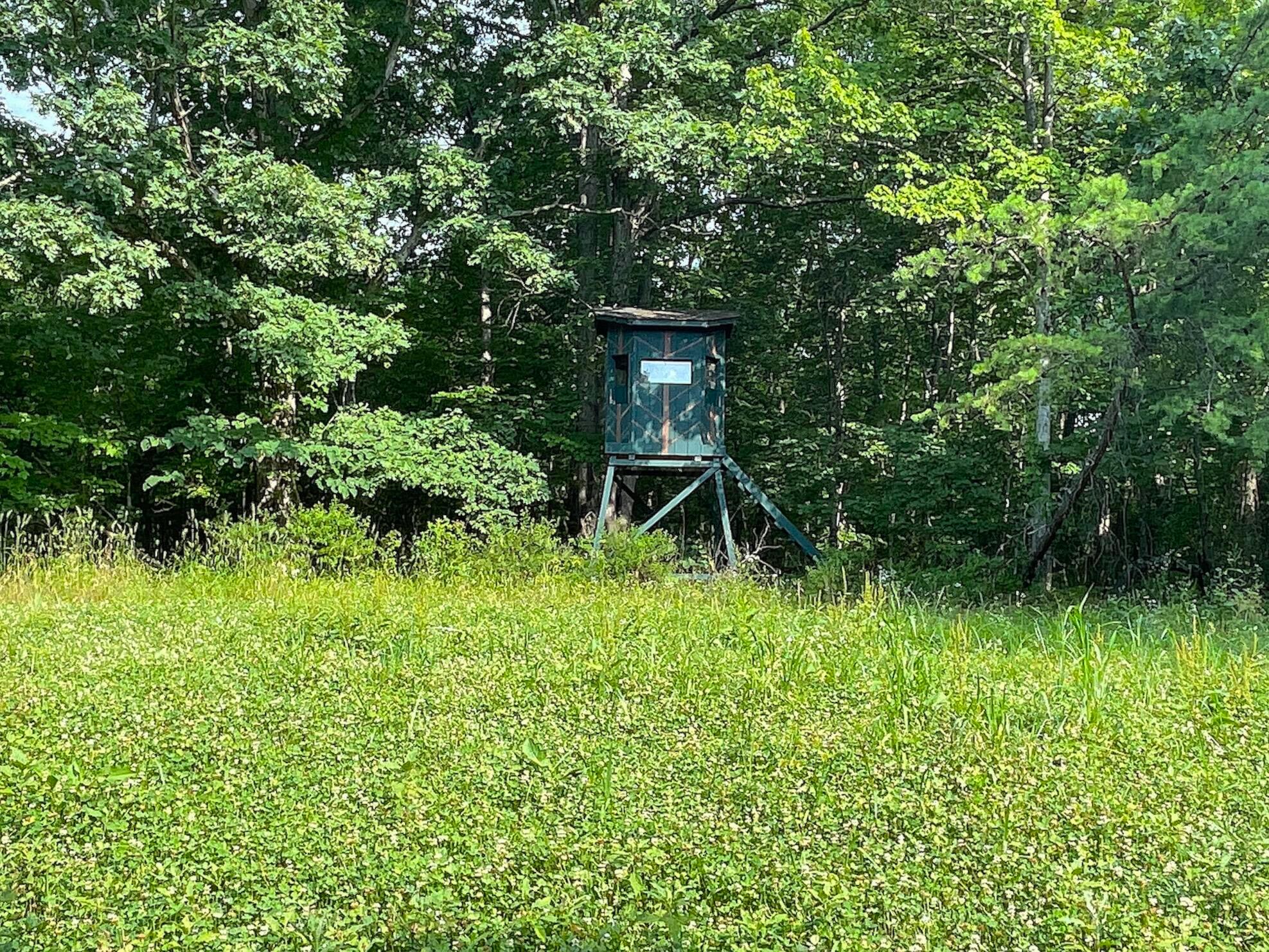755 Collier Road, South Webster, Ohio image 13