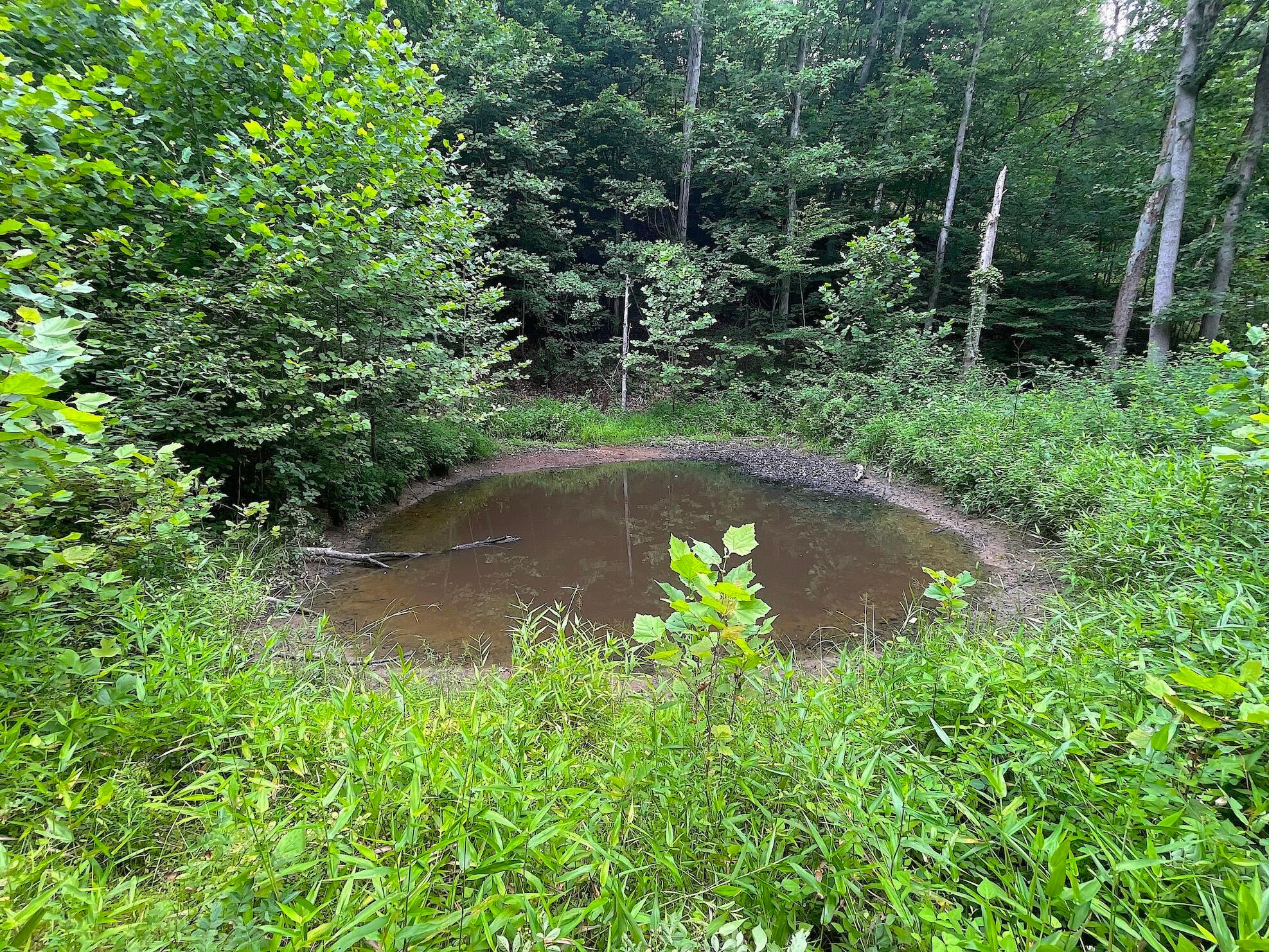 755 Collier Road, South Webster, Ohio image 28