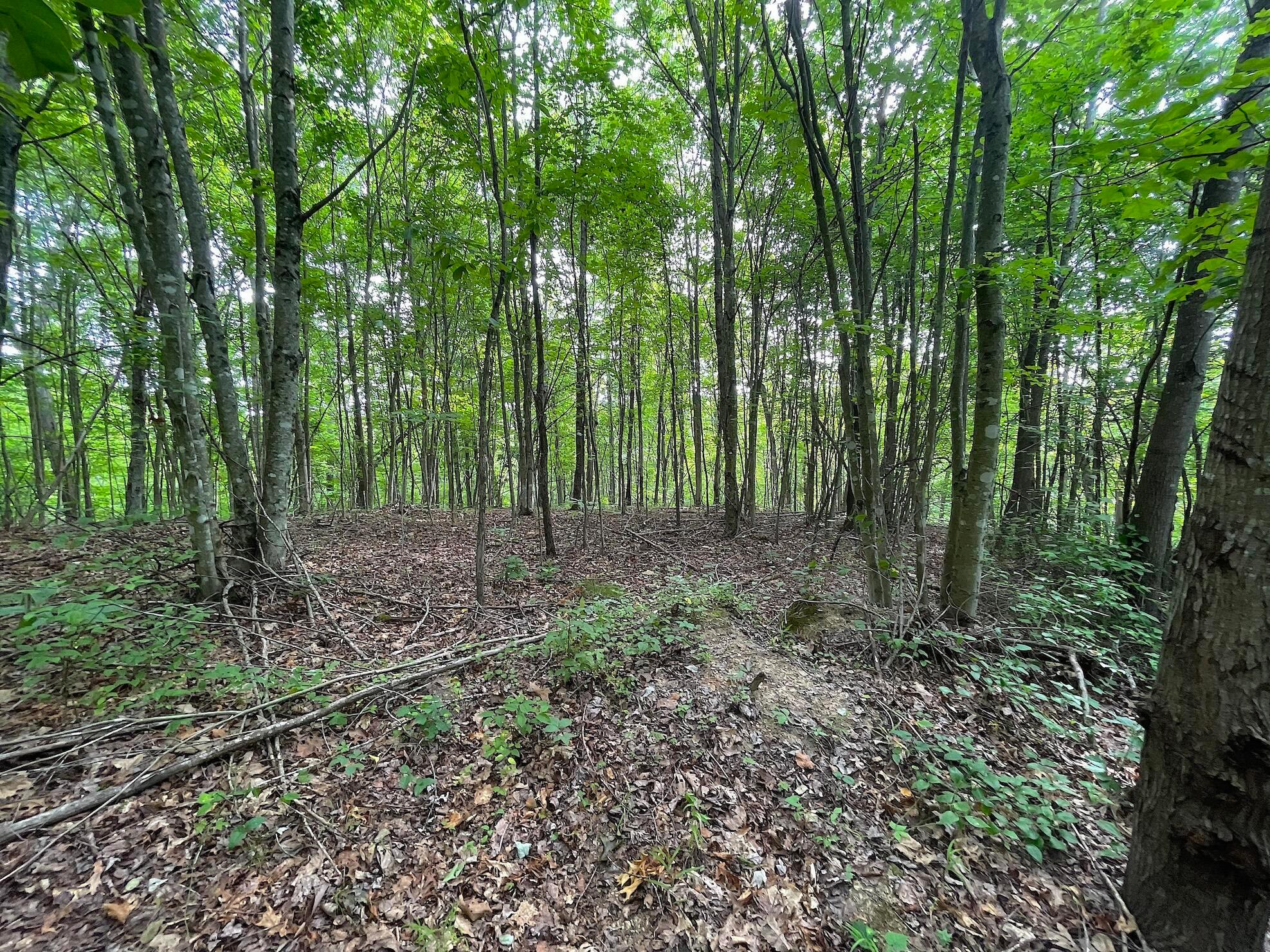 755 Collier Road, South Webster, Ohio image 19