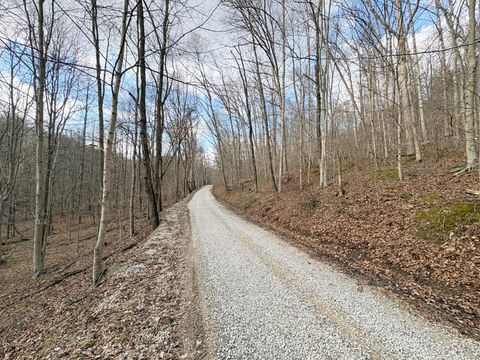 Photo of 0 Township Road 134 SE, New Straitsville, OH 43766 (MLS # 226007276)