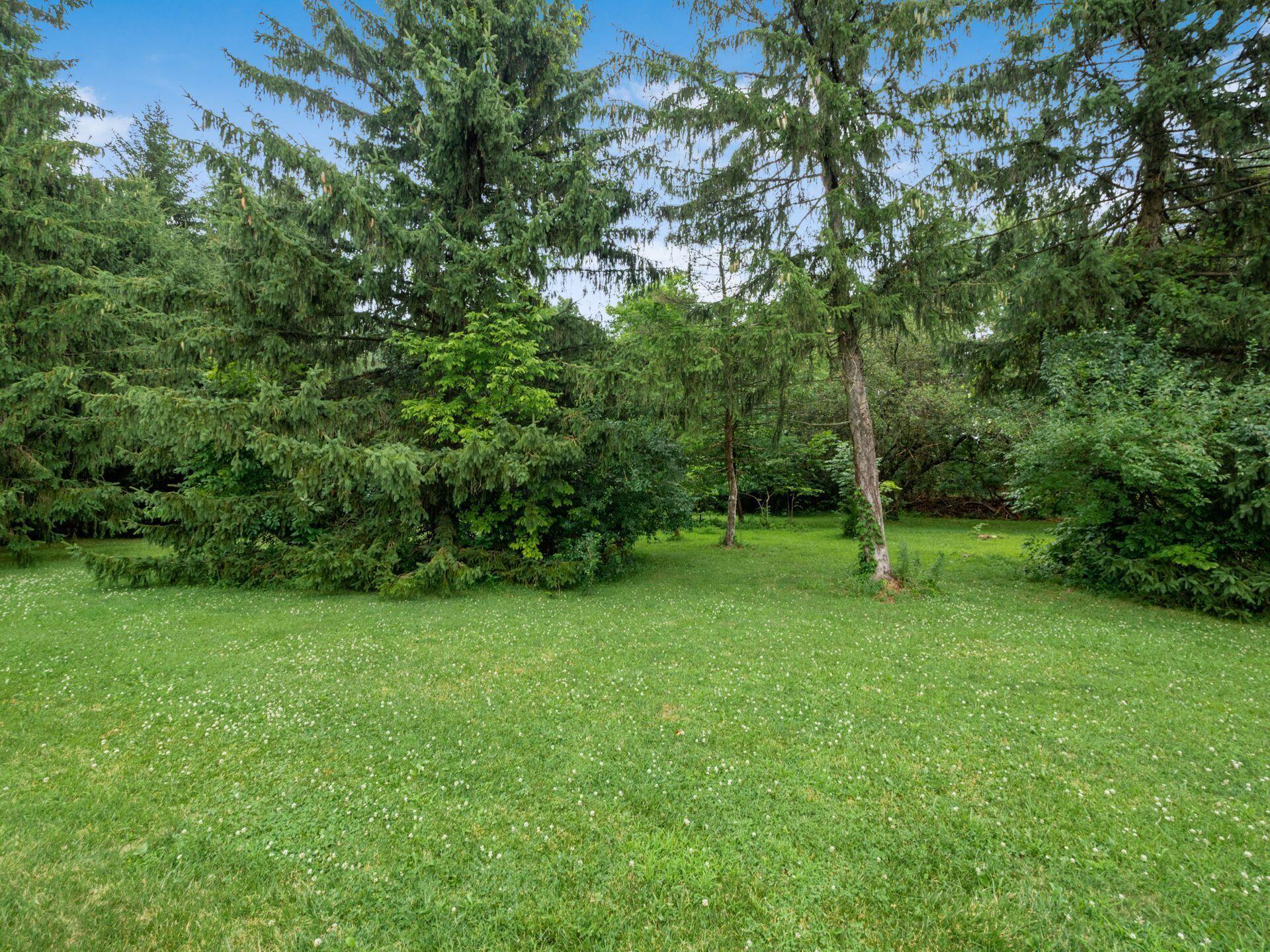 304 Middleburn Street, Johnstown, Ohio image 42