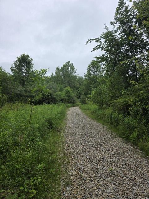 Photo of 4719 Twp 115 Road, Mount Gilead, OH 43338 (MLS # 225037831)