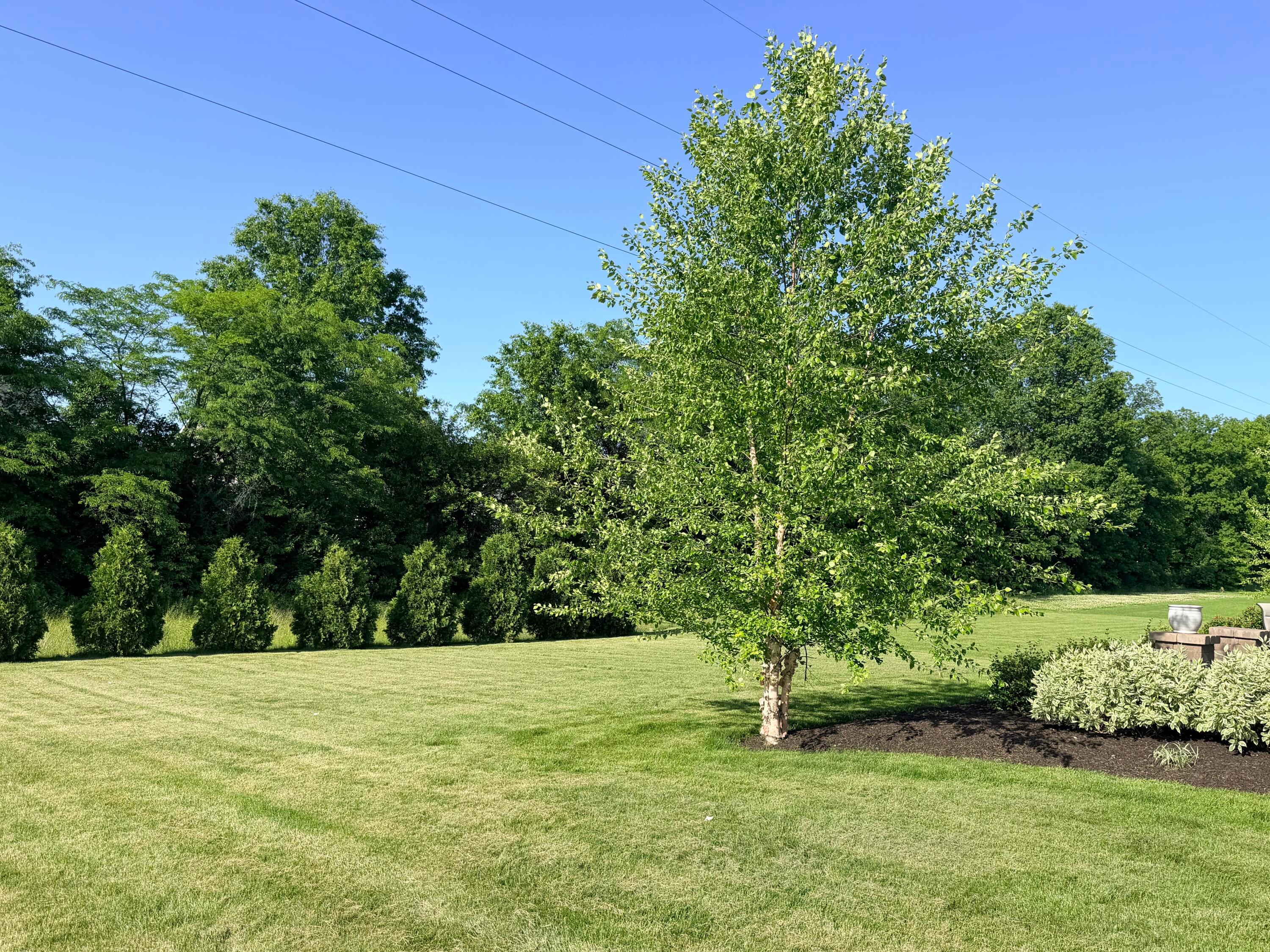 6409 Brookview Manor Drive