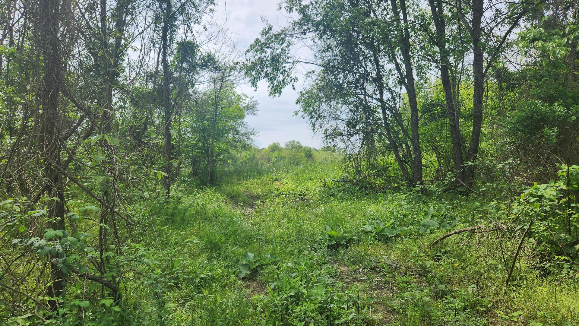 Sr 684 Road #TRACT 5 ALBANY WOODS, Albany, Ohio image 34