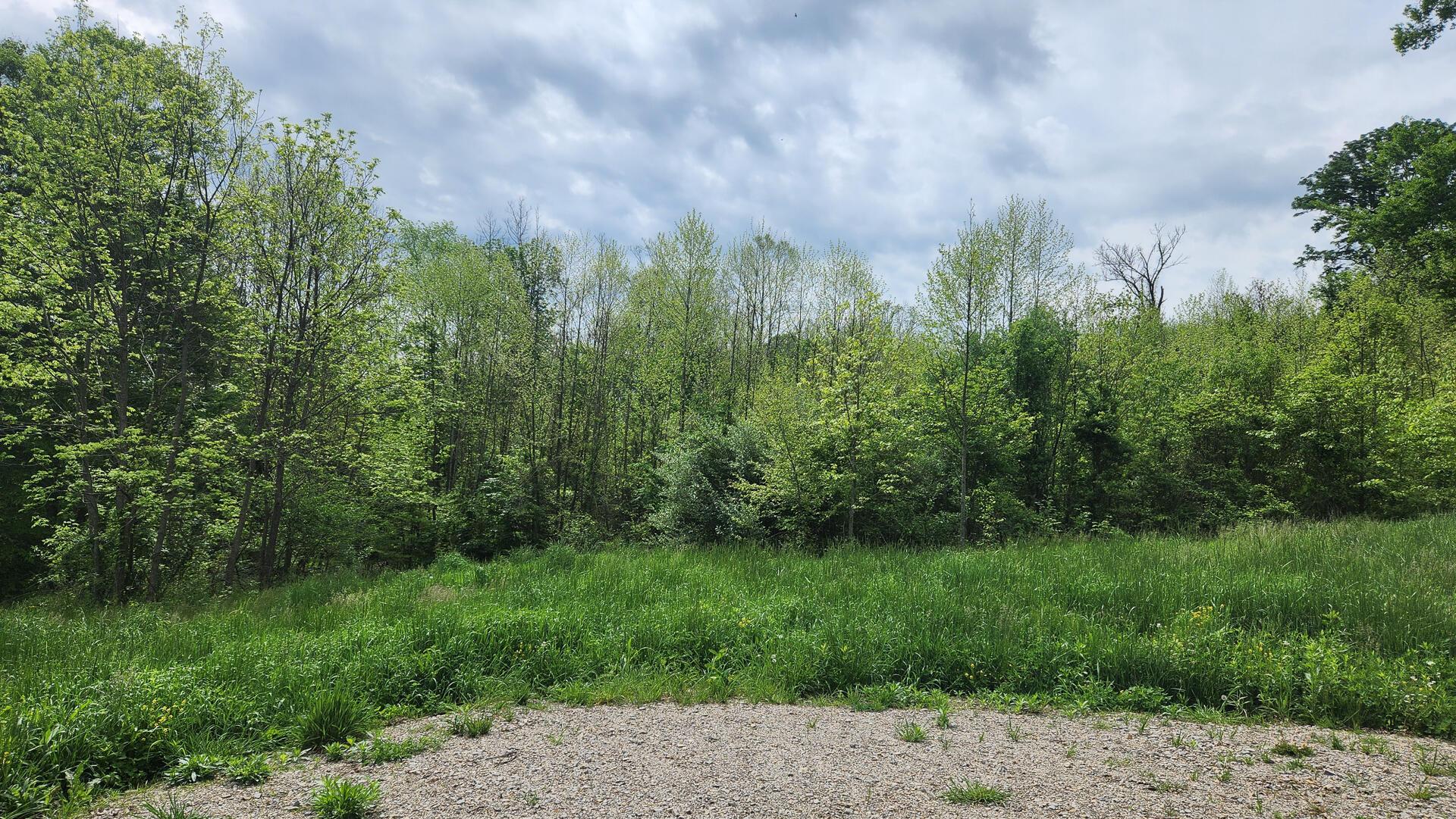 Sr 684 Road #TRACT 5 ALBANY WOODS, Albany, Ohio image 10
