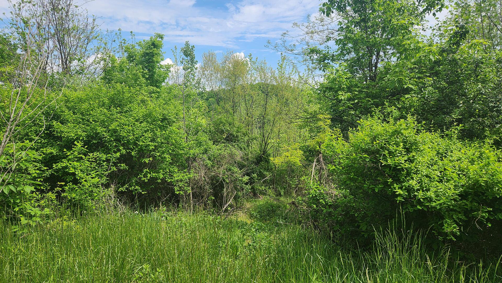 Sr 684 Road #TRACT 5 ALBANY WOODS, Albany, Ohio image 32