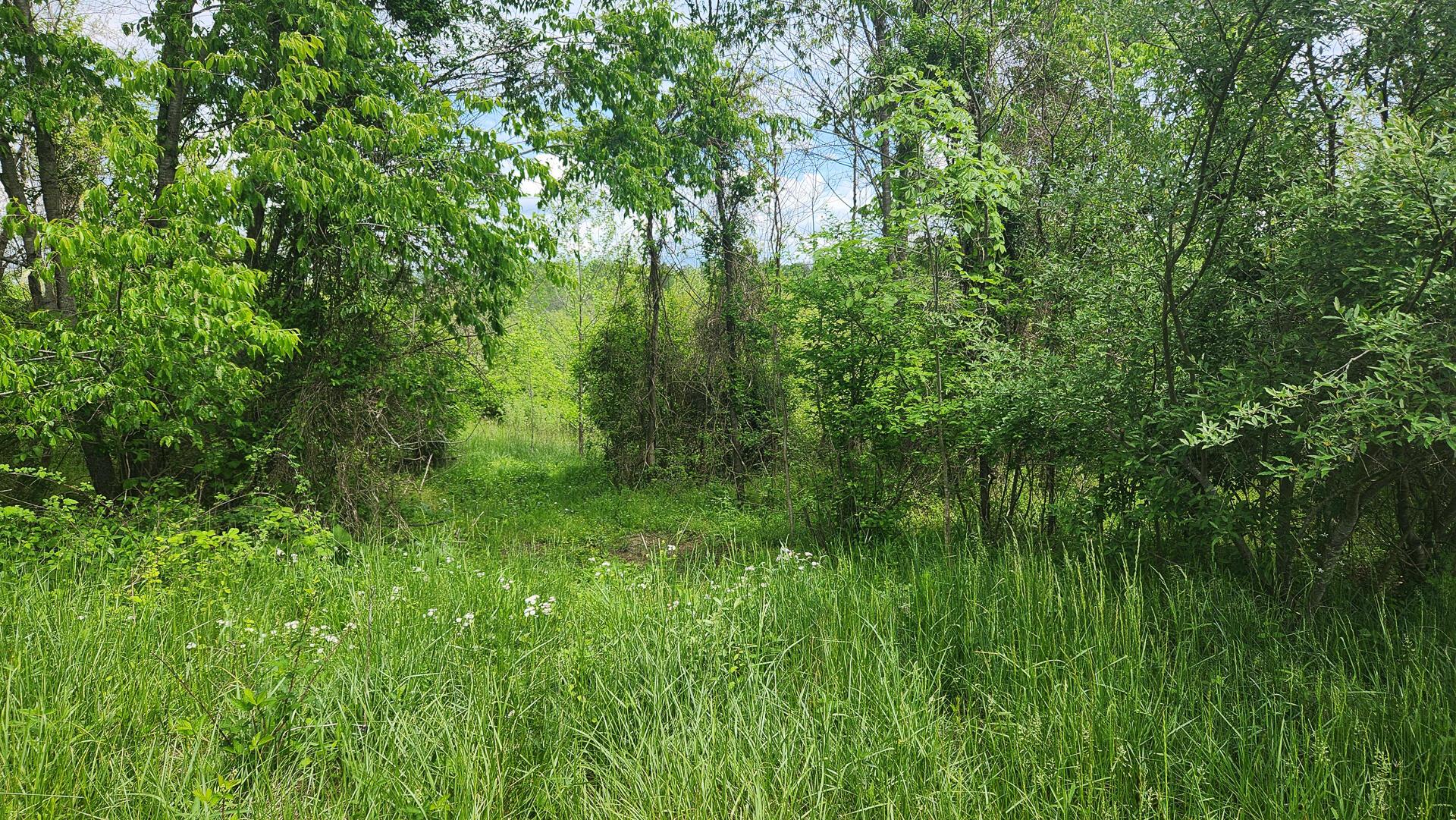 Sr 684 Road #TRACT 5 ALBANY WOODS, Albany, Ohio image 35
