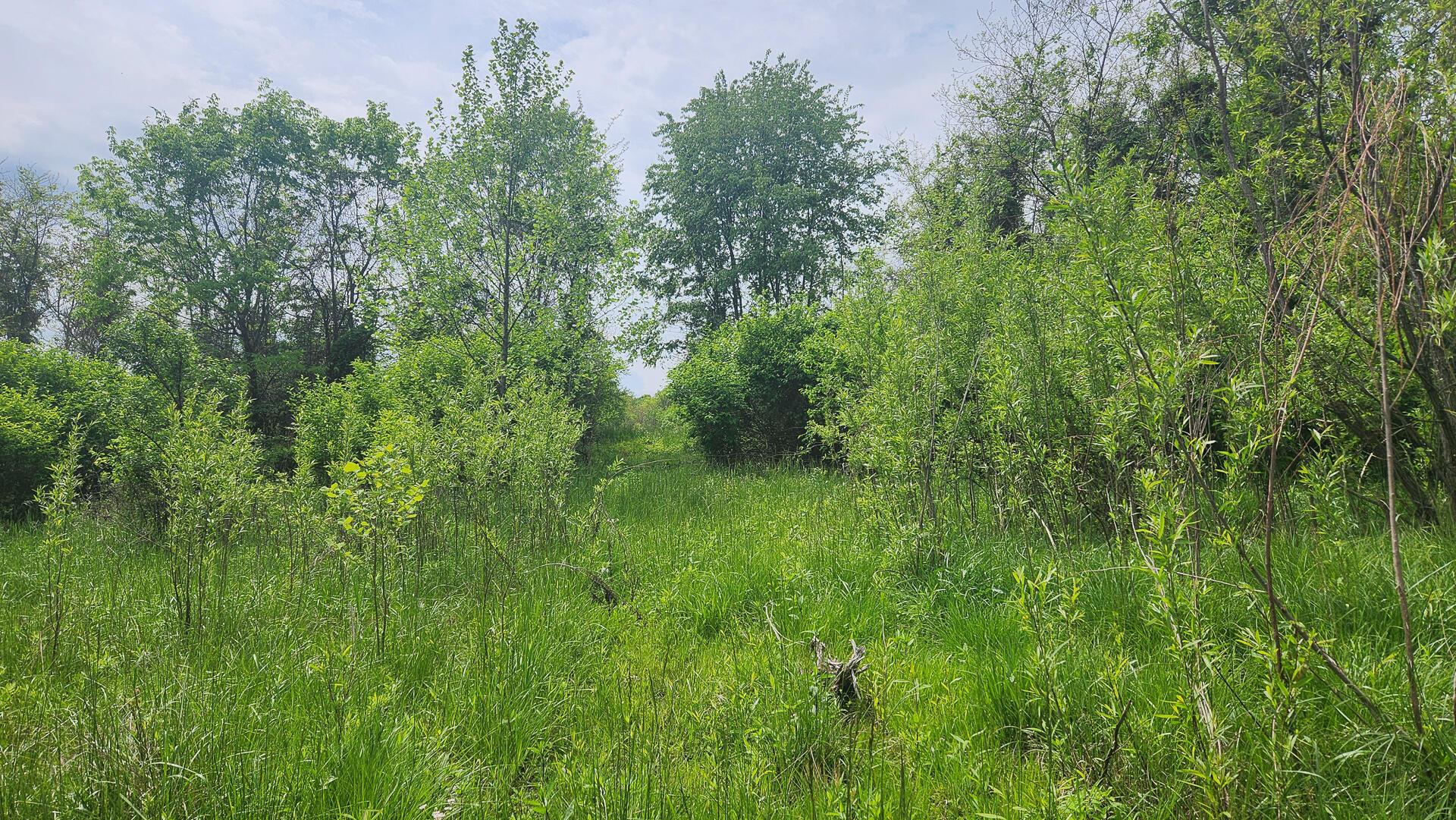Sr 684 Road #TRACT 5 ALBANY WOODS, Albany, Ohio image 31