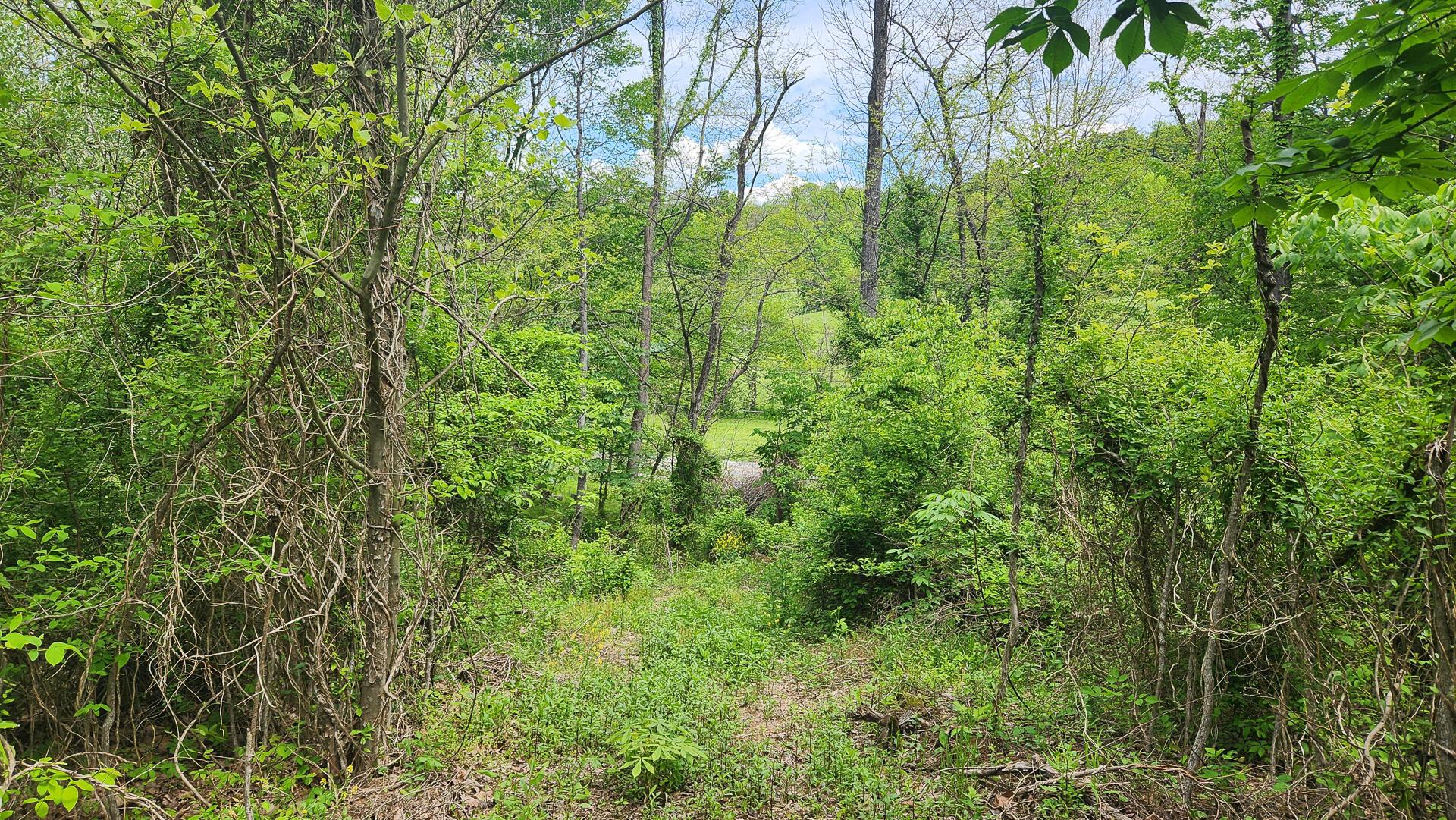 Sr 684 Road #TRACT 5 ALBANY WOODS, Albany, Ohio image 39