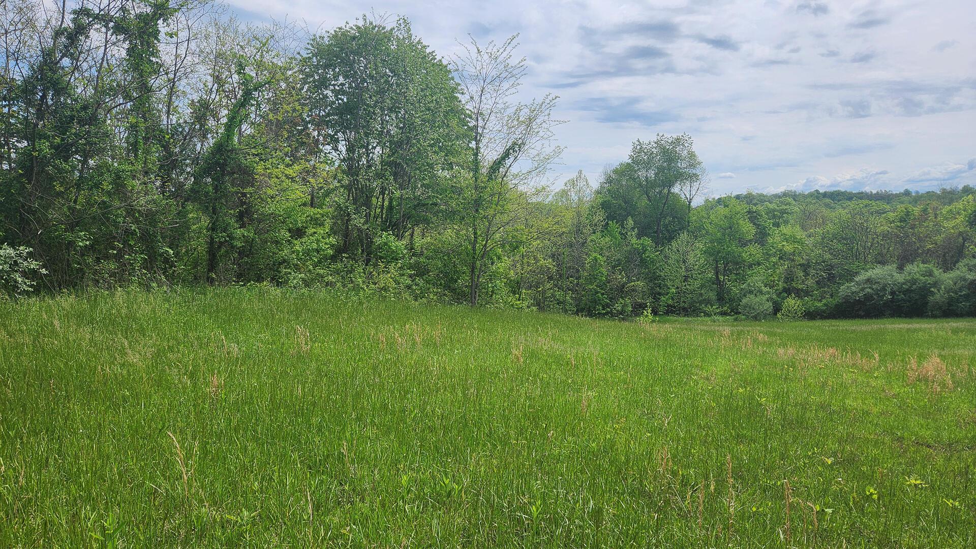 Sr 684 Road #TRACT 5 ALBANY WOODS, Albany, Ohio image 37