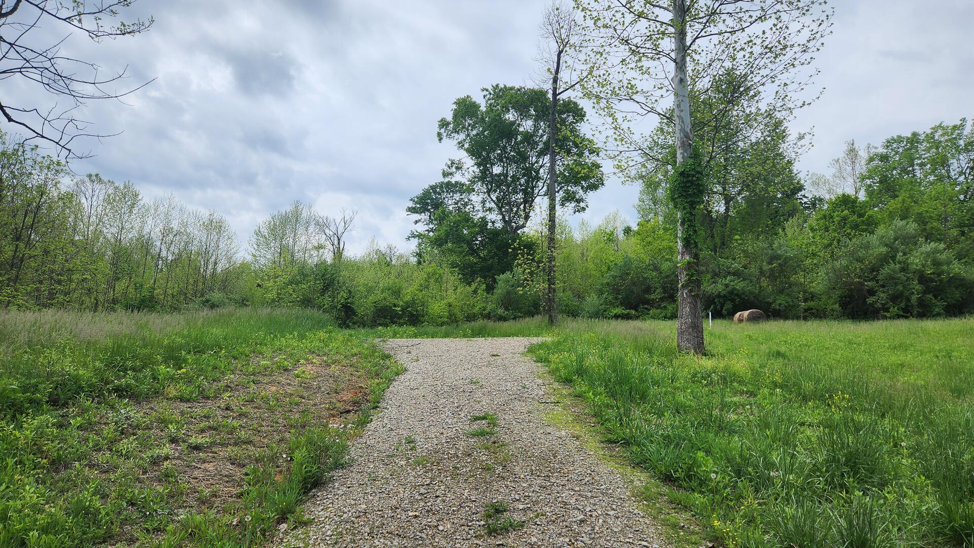 Sr 684 Road #TRACT 5 ALBANY WOODS, Albany, Ohio image 7