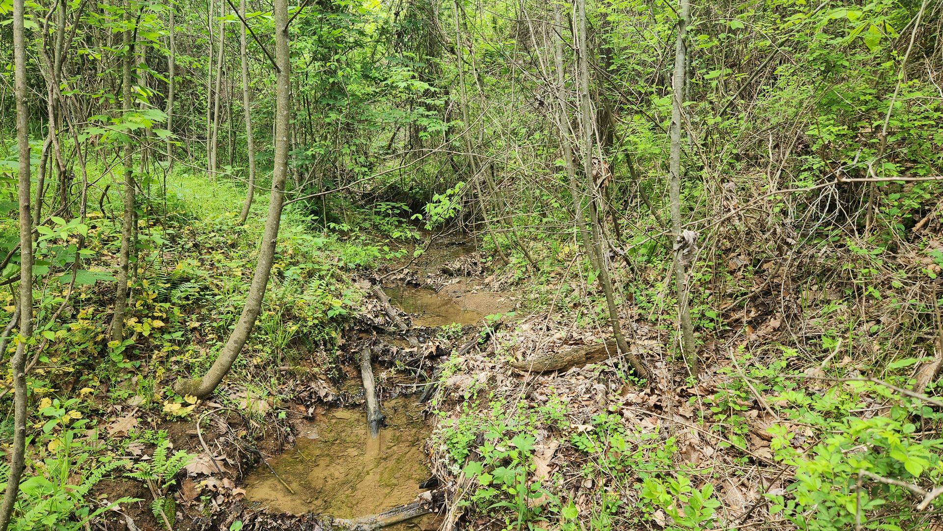 Sr 684 Road #TRACT 5 ALBANY WOODS, Albany, Ohio image 13