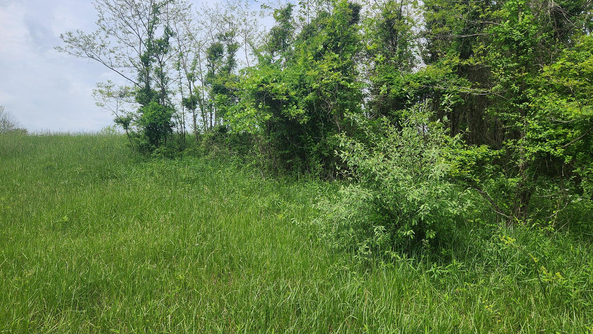 Sr 684 Road #TRACT 5 ALBANY WOODS, Albany, Ohio image 36