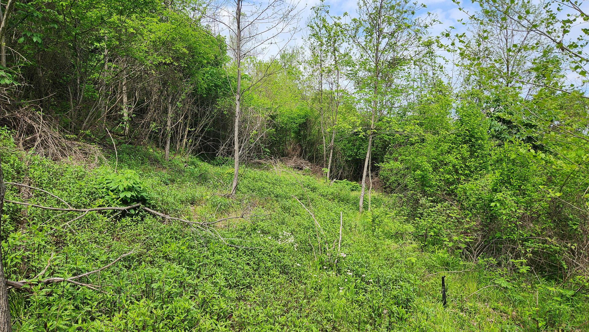 Sr 684 Road #TRACT 5 ALBANY WOODS, Albany, Ohio image 23