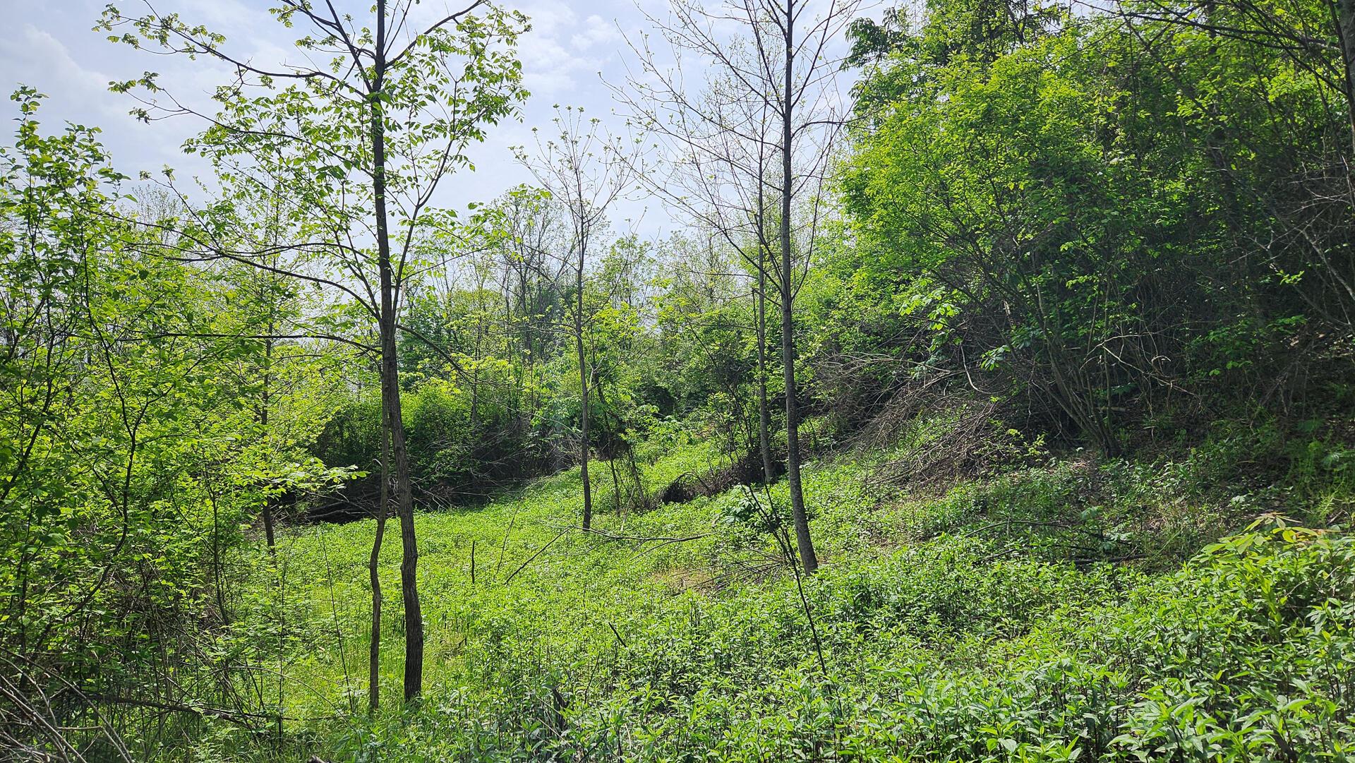 Sr 684 Road #TRACT 5 ALBANY WOODS, Albany, Ohio image 24