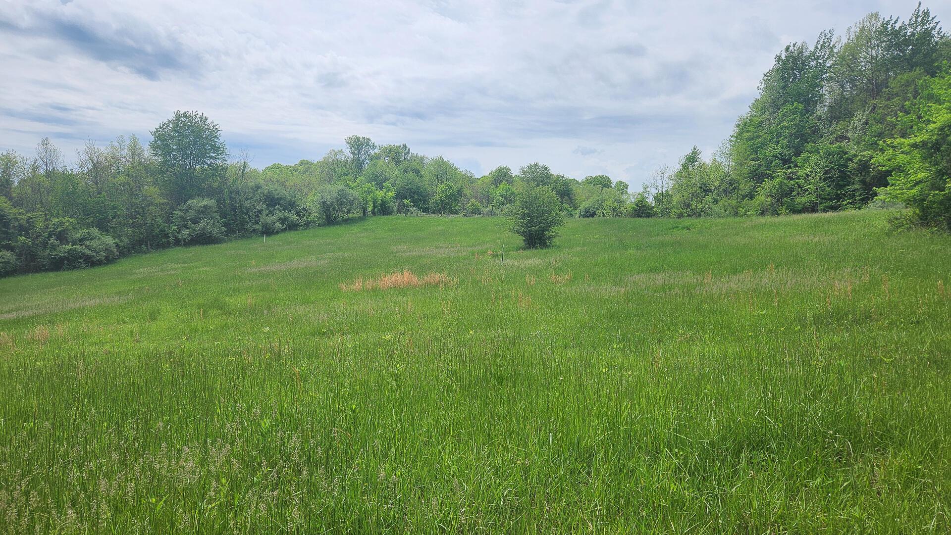 Sr 684 Road #TRACT 5 ALBANY WOODS, Albany, Ohio image 3