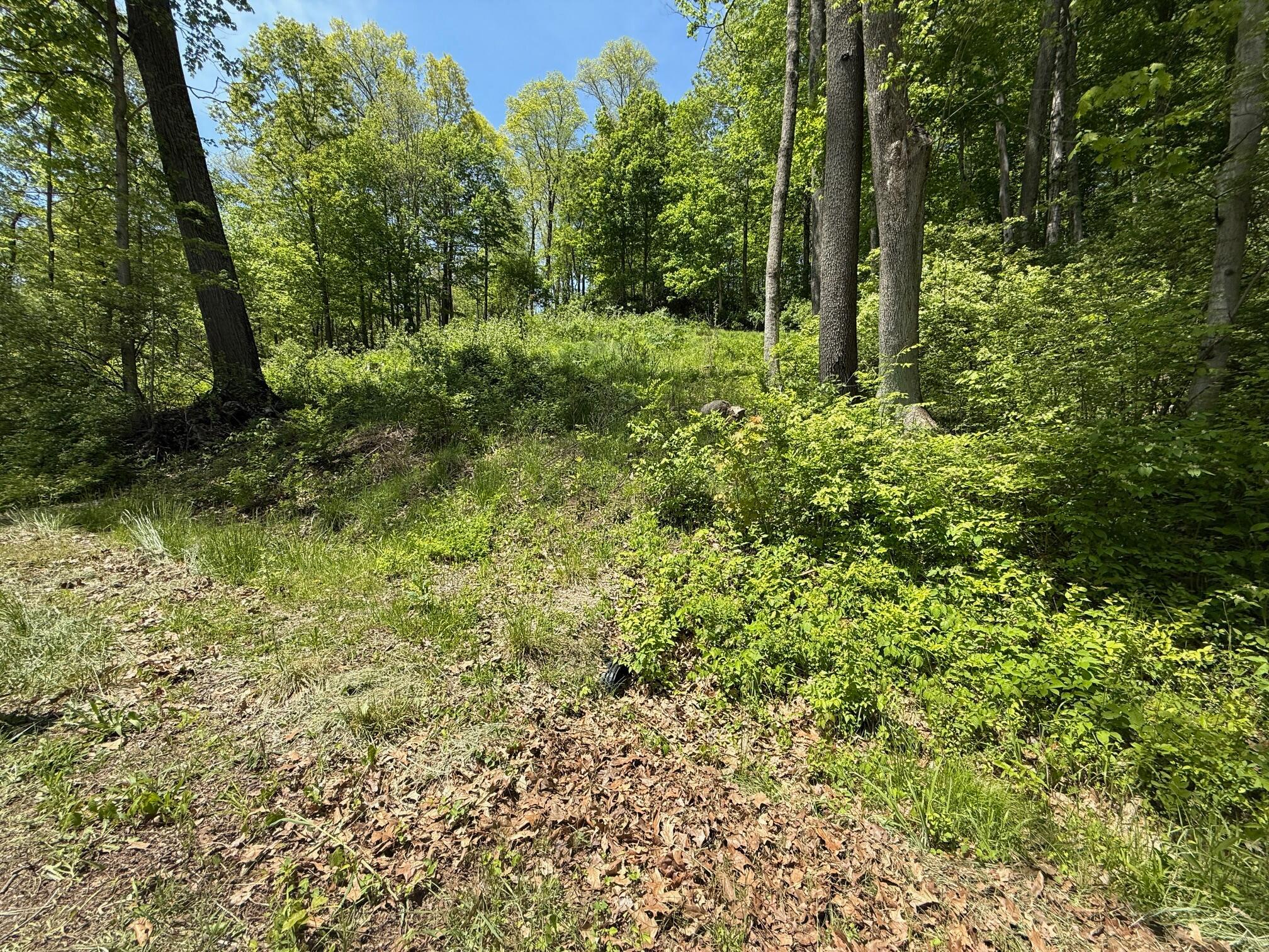 178 Avon Place, Thornville, Ohio image 3
