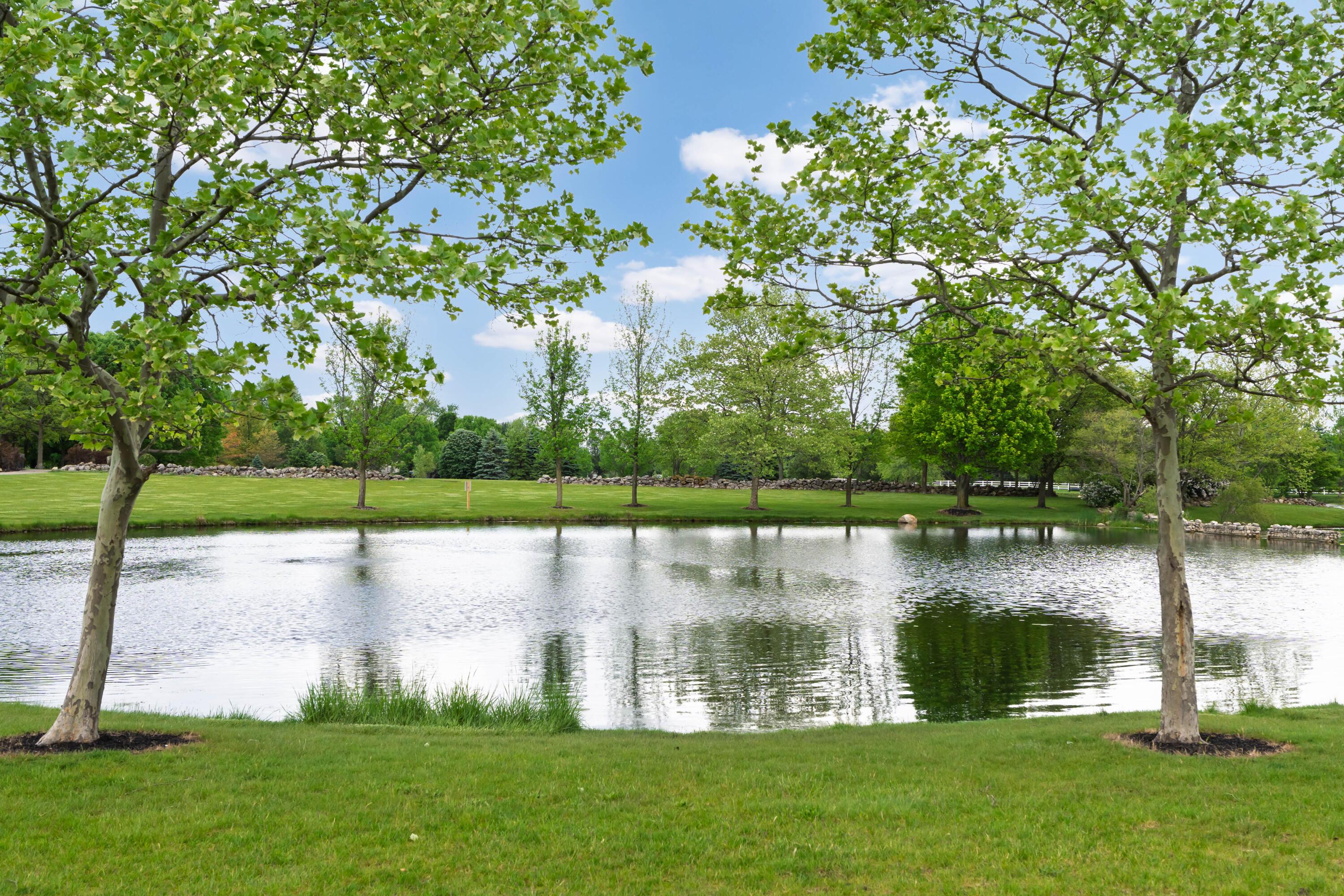 6289 Corley Drive, Dublin, Ohio image 45